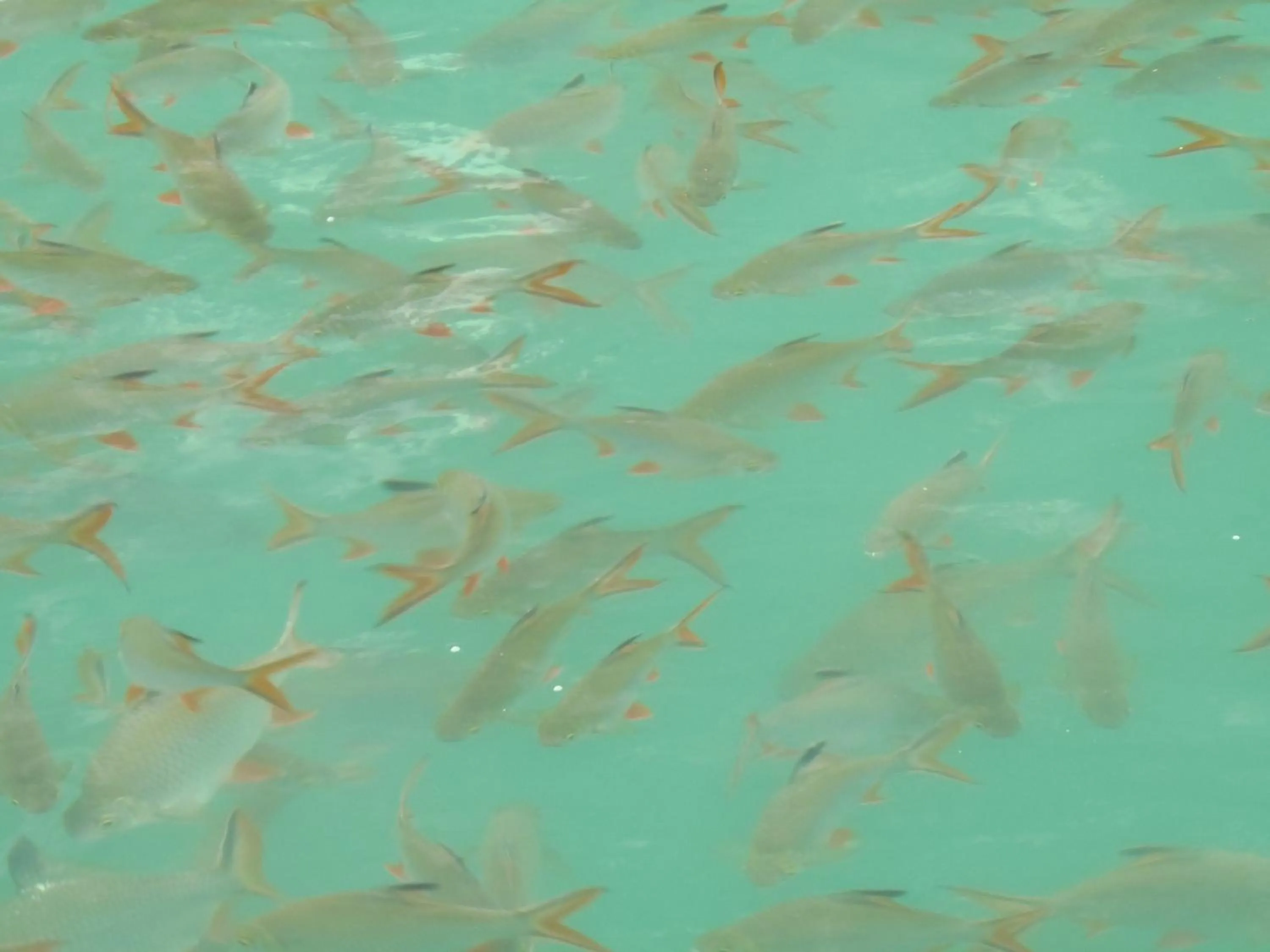 Neighbourhood in Takhun Mountain View