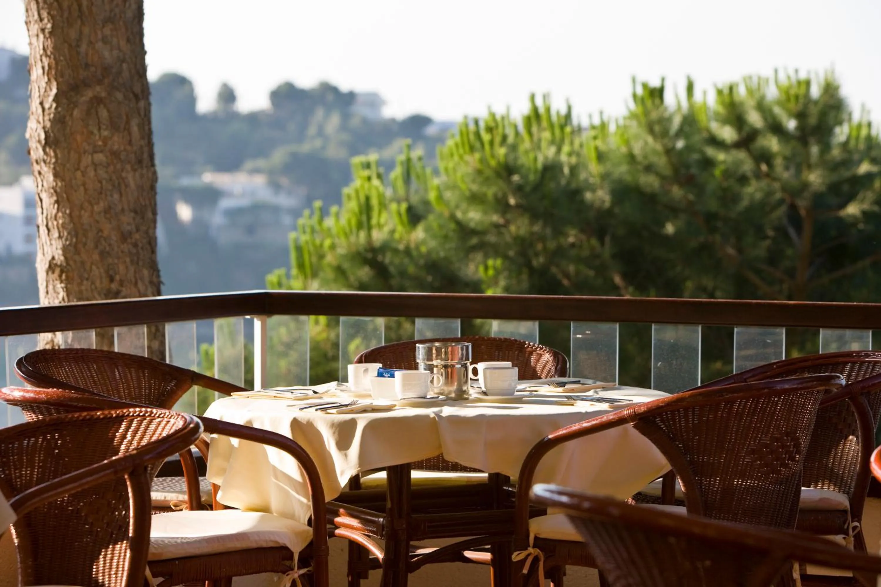 Restaurant/places to eat in Almadraba Park Hotel