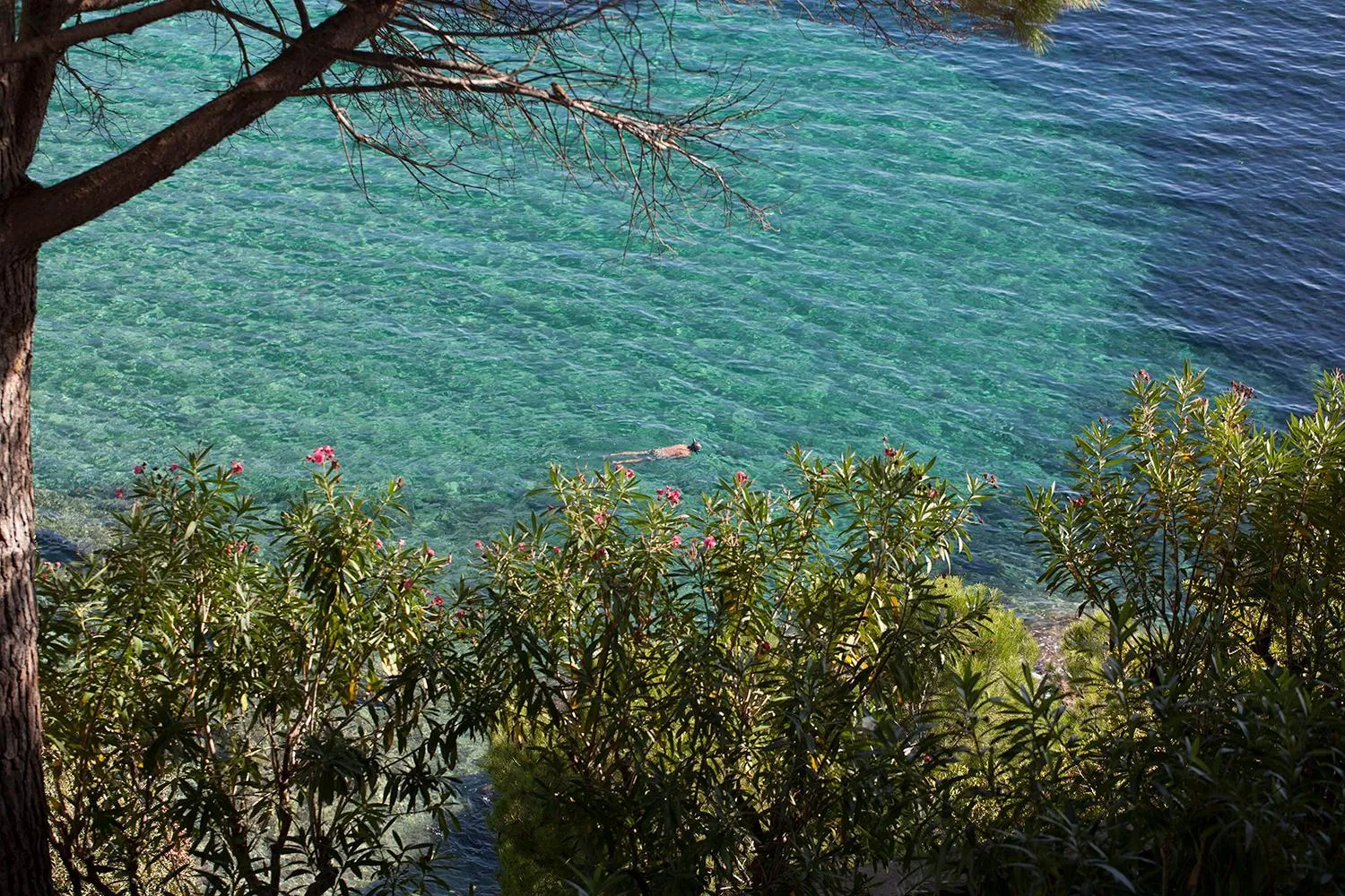 Sea view in Almadraba Park Hotel