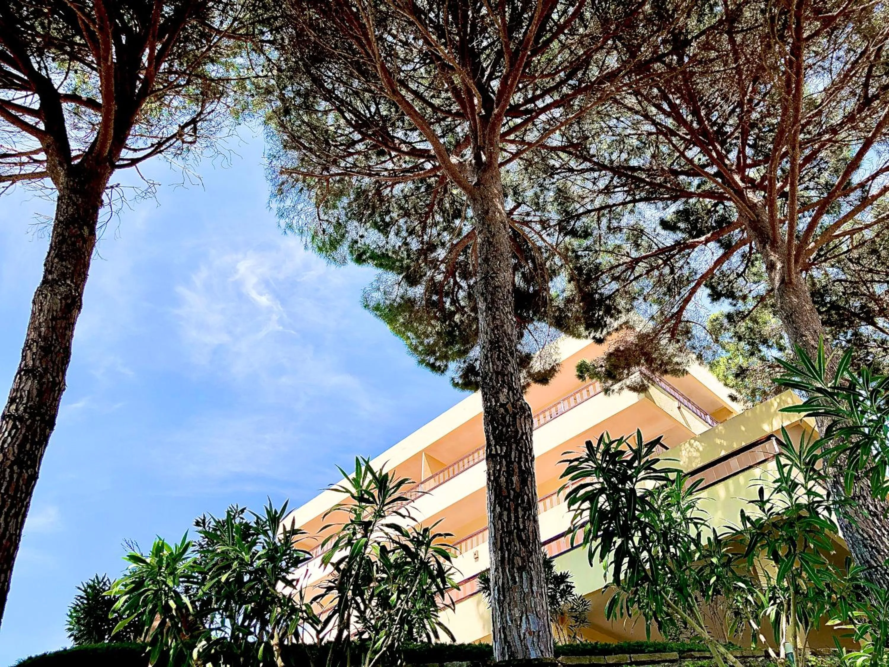 View (from property/room) in Almadraba Park Hotel