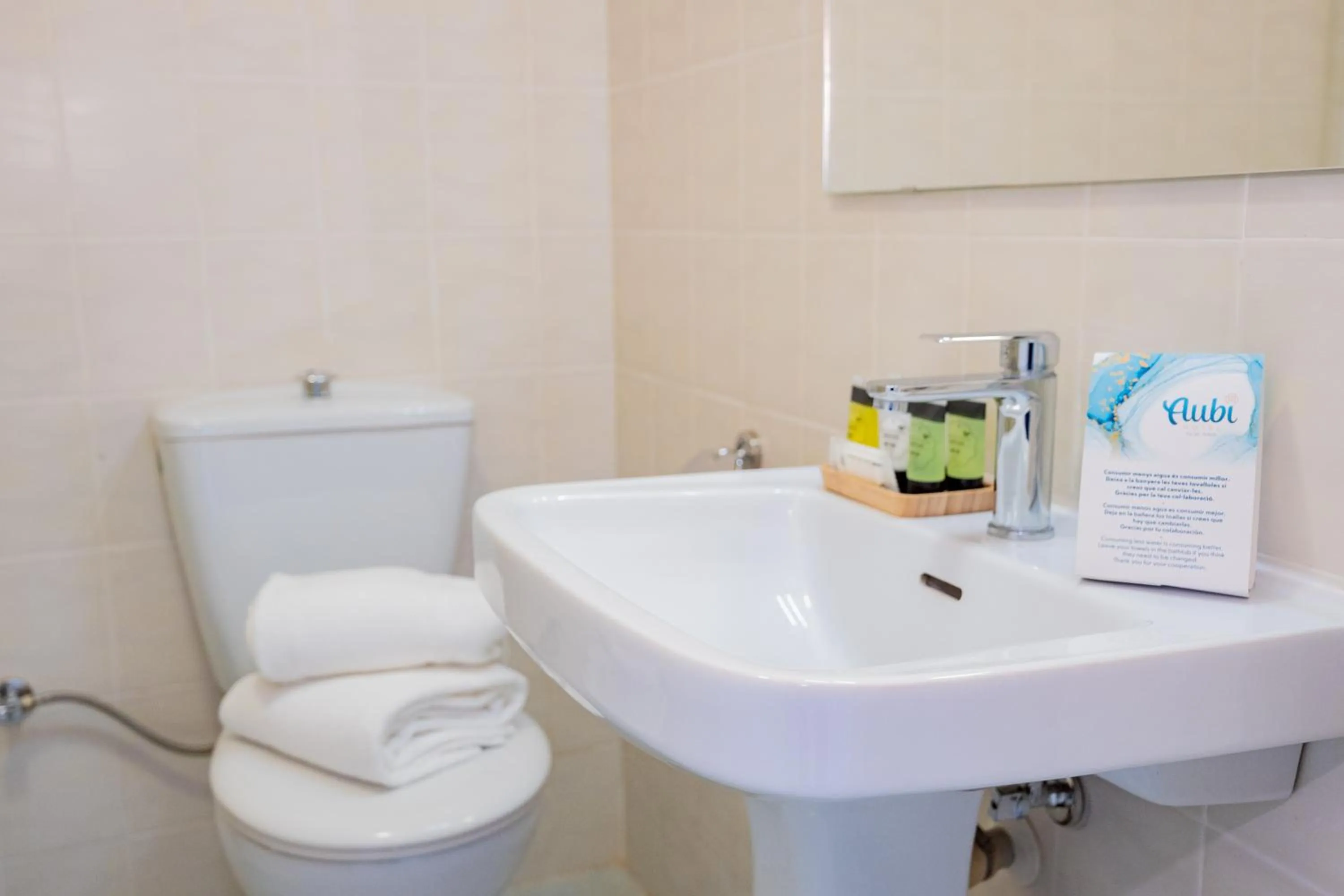 Property building in Hotel Aubí