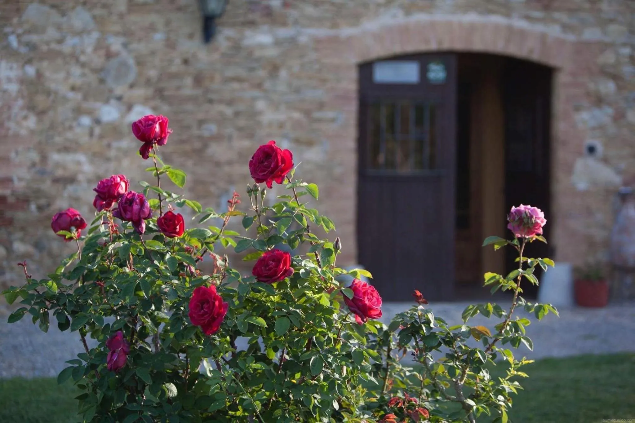 Decorative detail in Hotel Mas Rabiol -Emporda-Only Adults-Eco Hotel