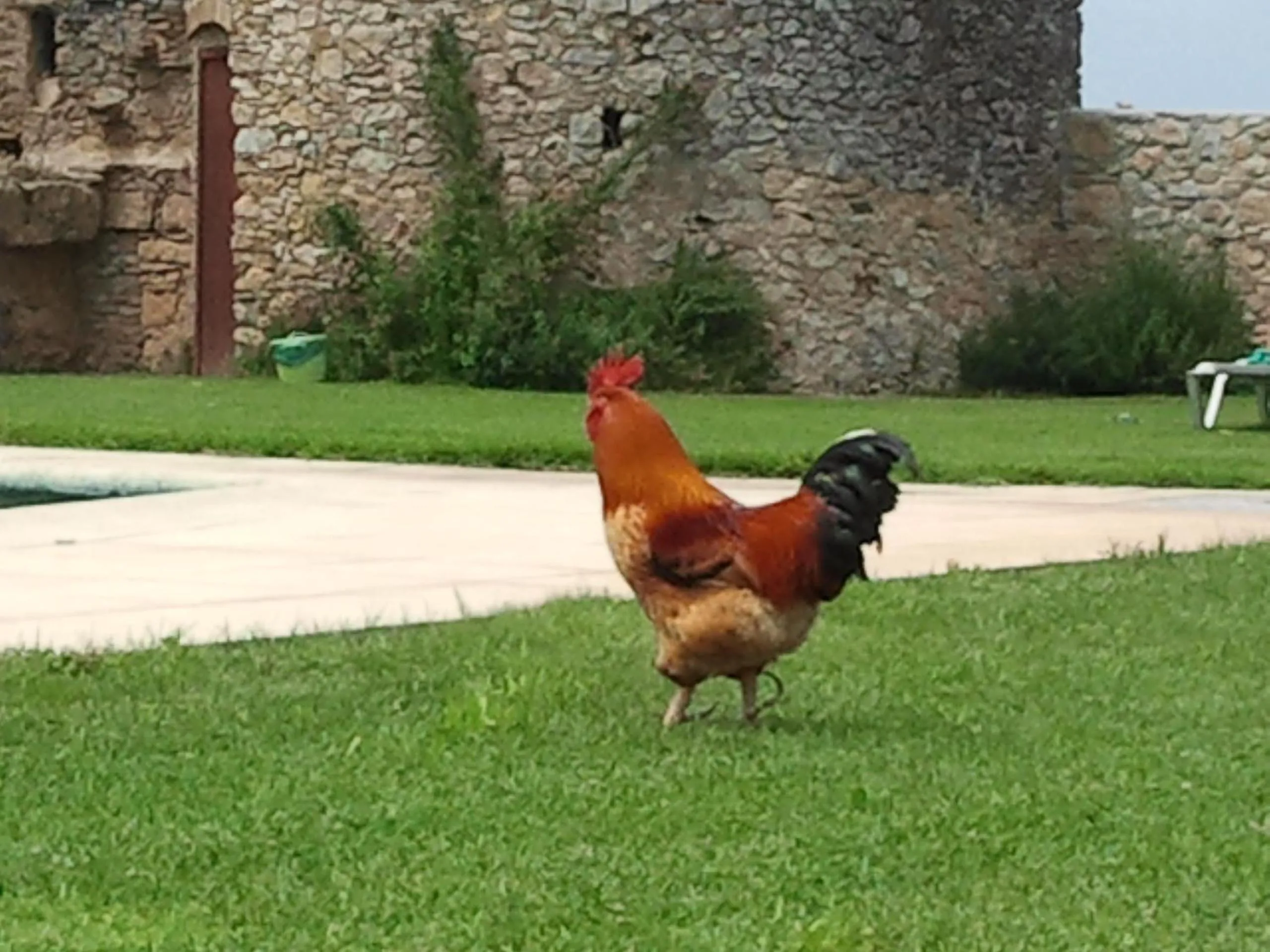 Facade/entrance in Hotel Mas Rabiol -Emporda-Only Adults-Eco Hotel