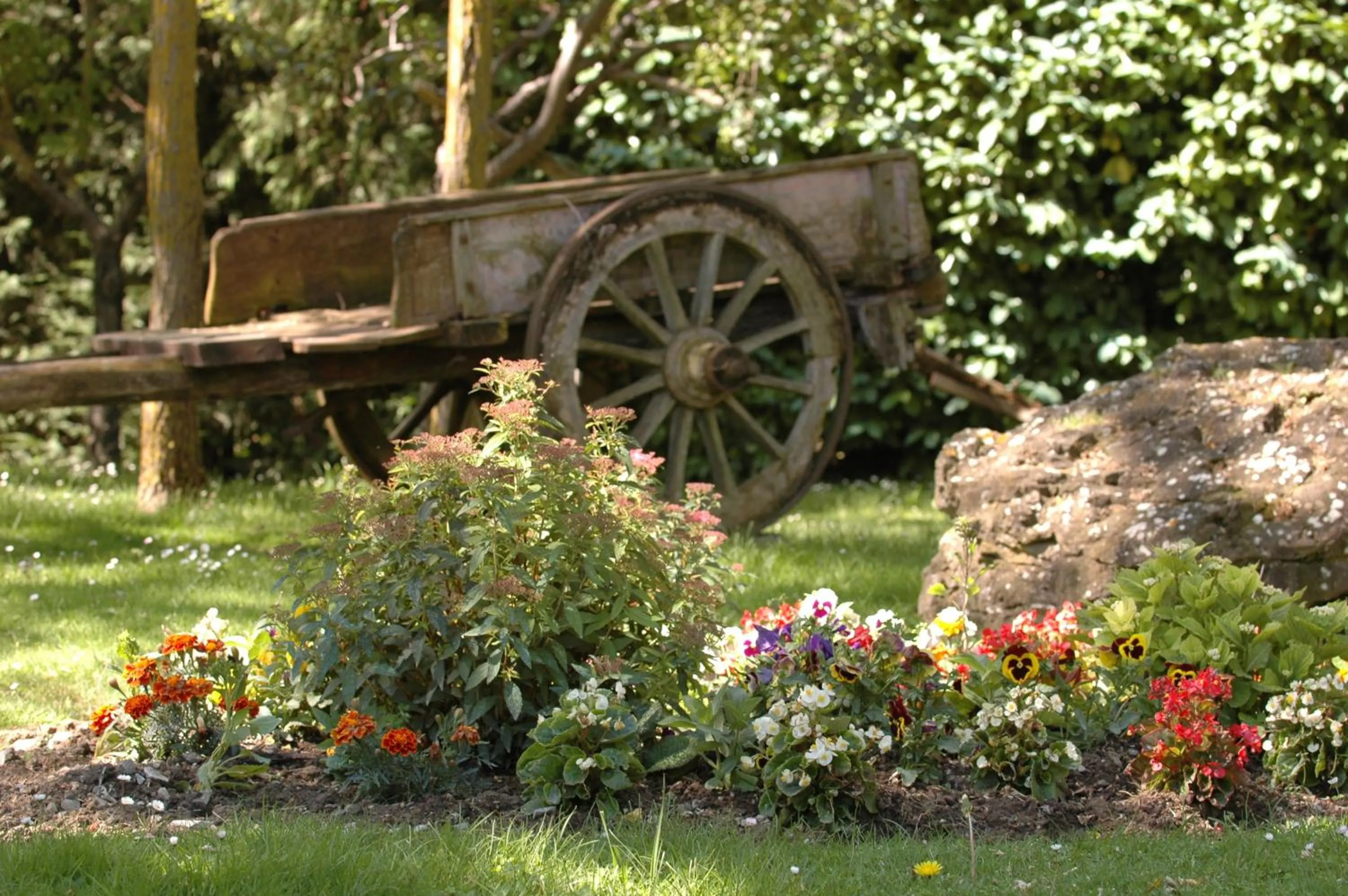 Garden in Hotel Colle Etrusco Salivolpi