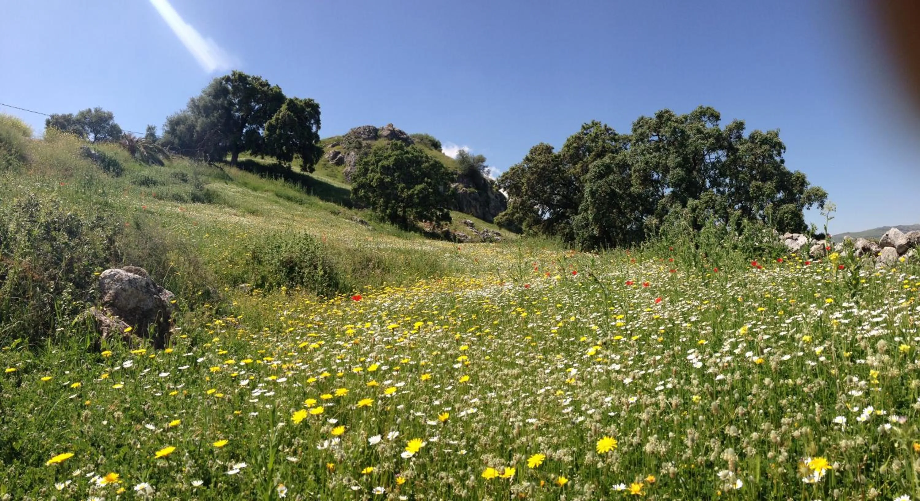 Area and facilities in Los Castillarejos Apartamentos Rurales