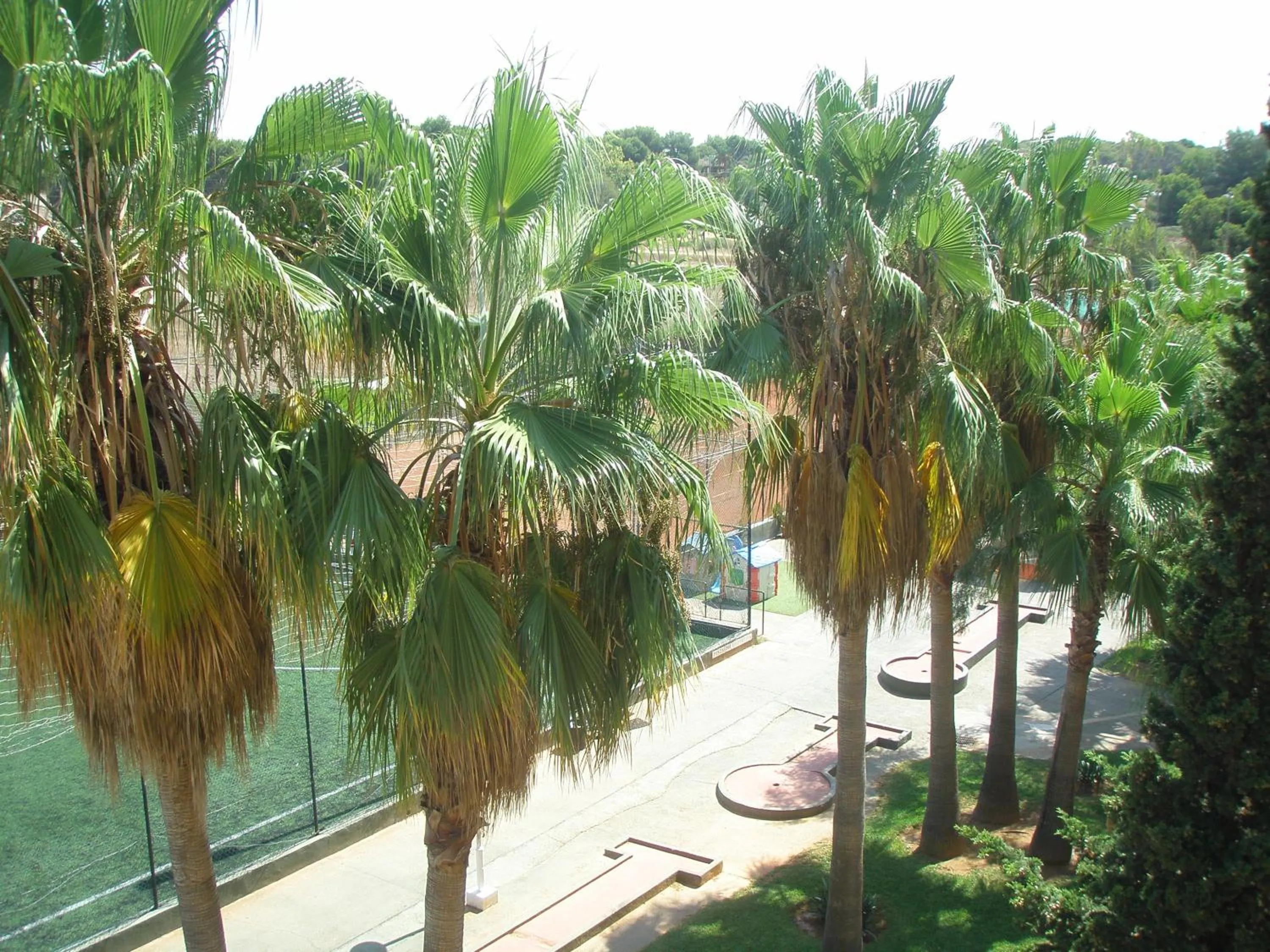Minigolf in Hotel Don Miguel Playa