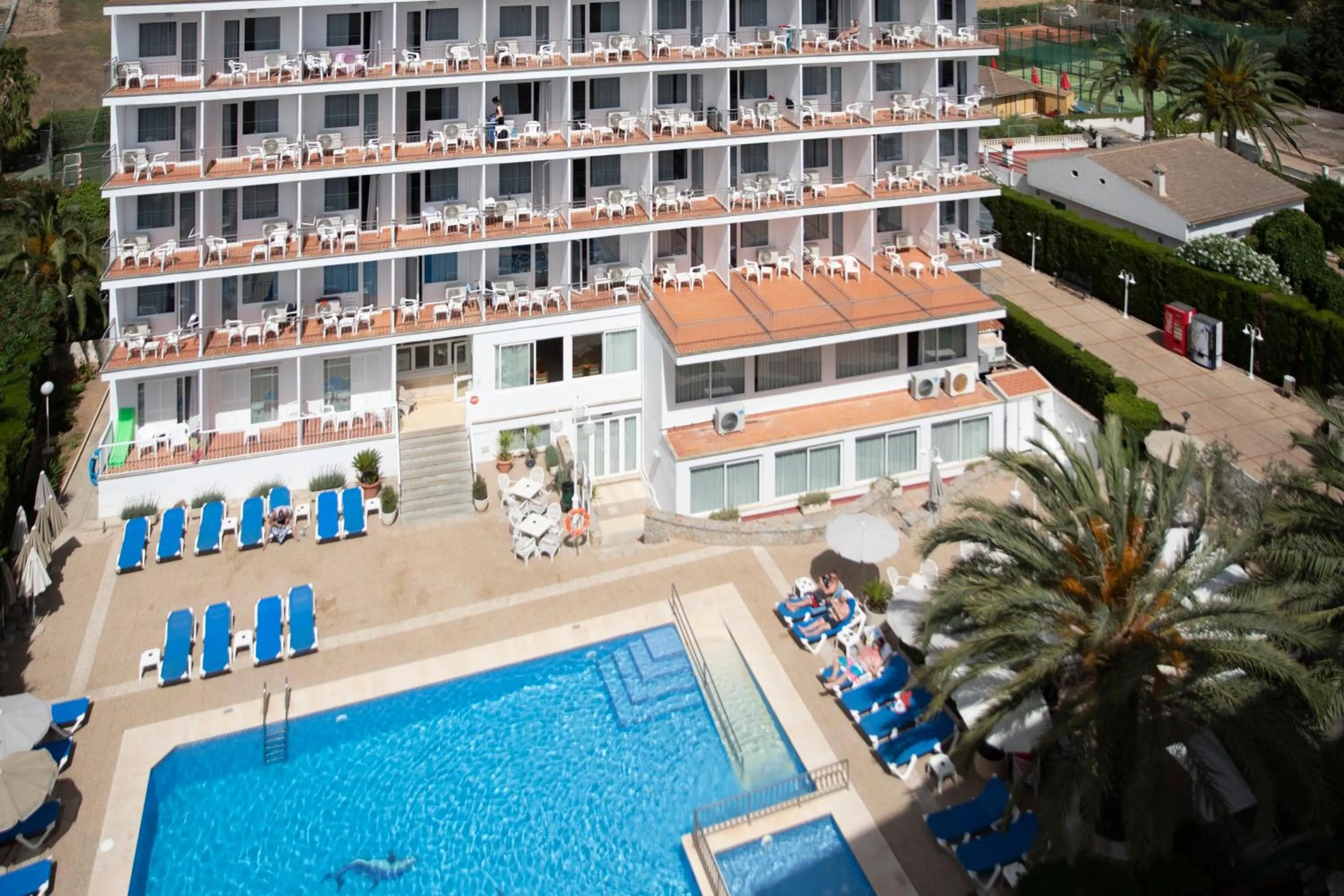 Swimming pool in Hotel Don Miguel Playa