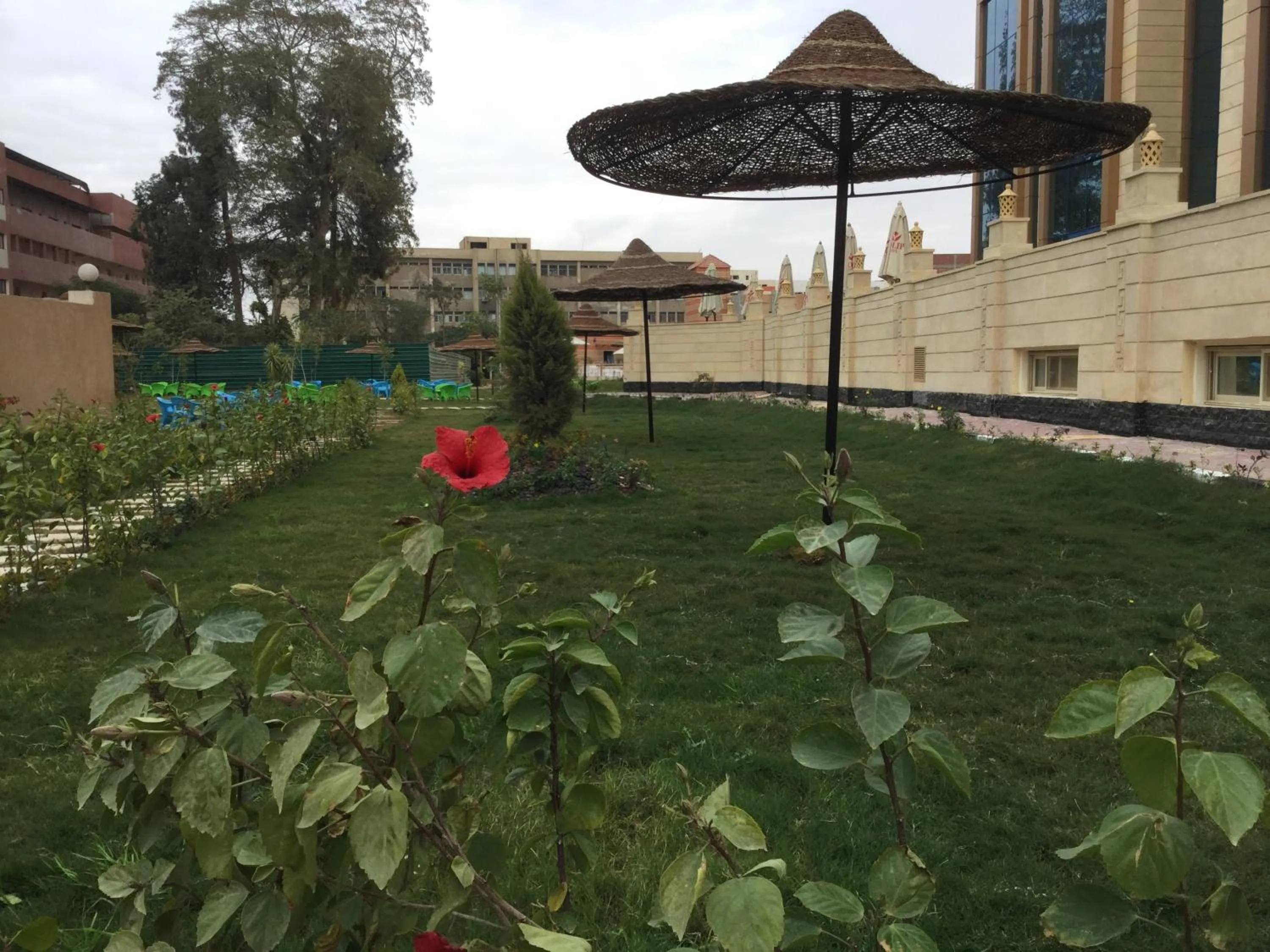 Garden in Jewel Inn Beni Suef