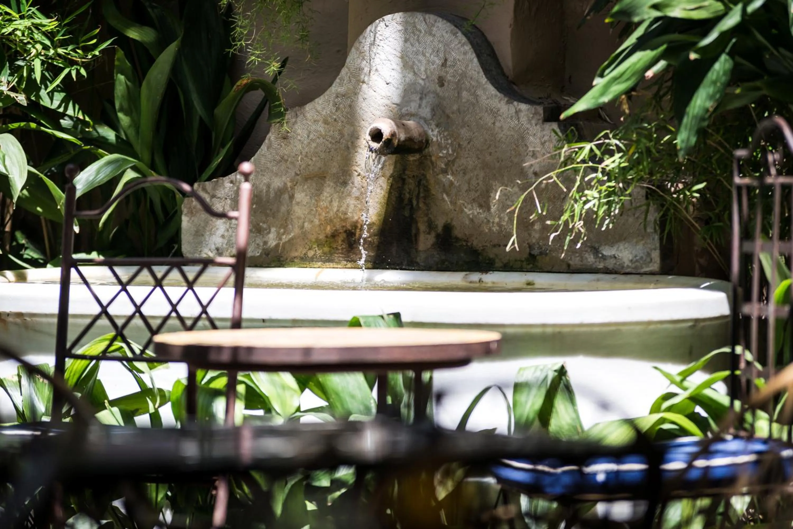 Restaurant/places to eat in Hotel América