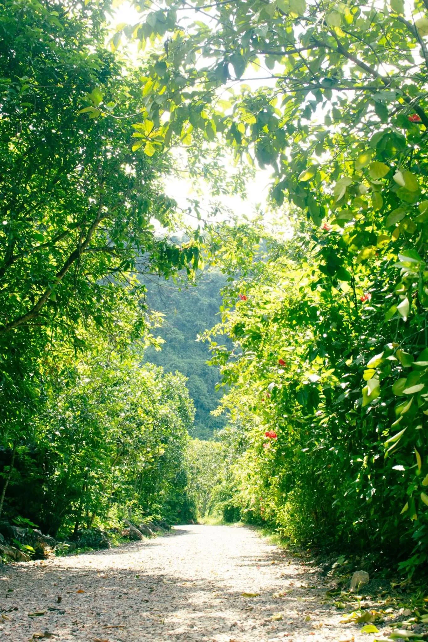 Natural landscape in Thung Nham Resort