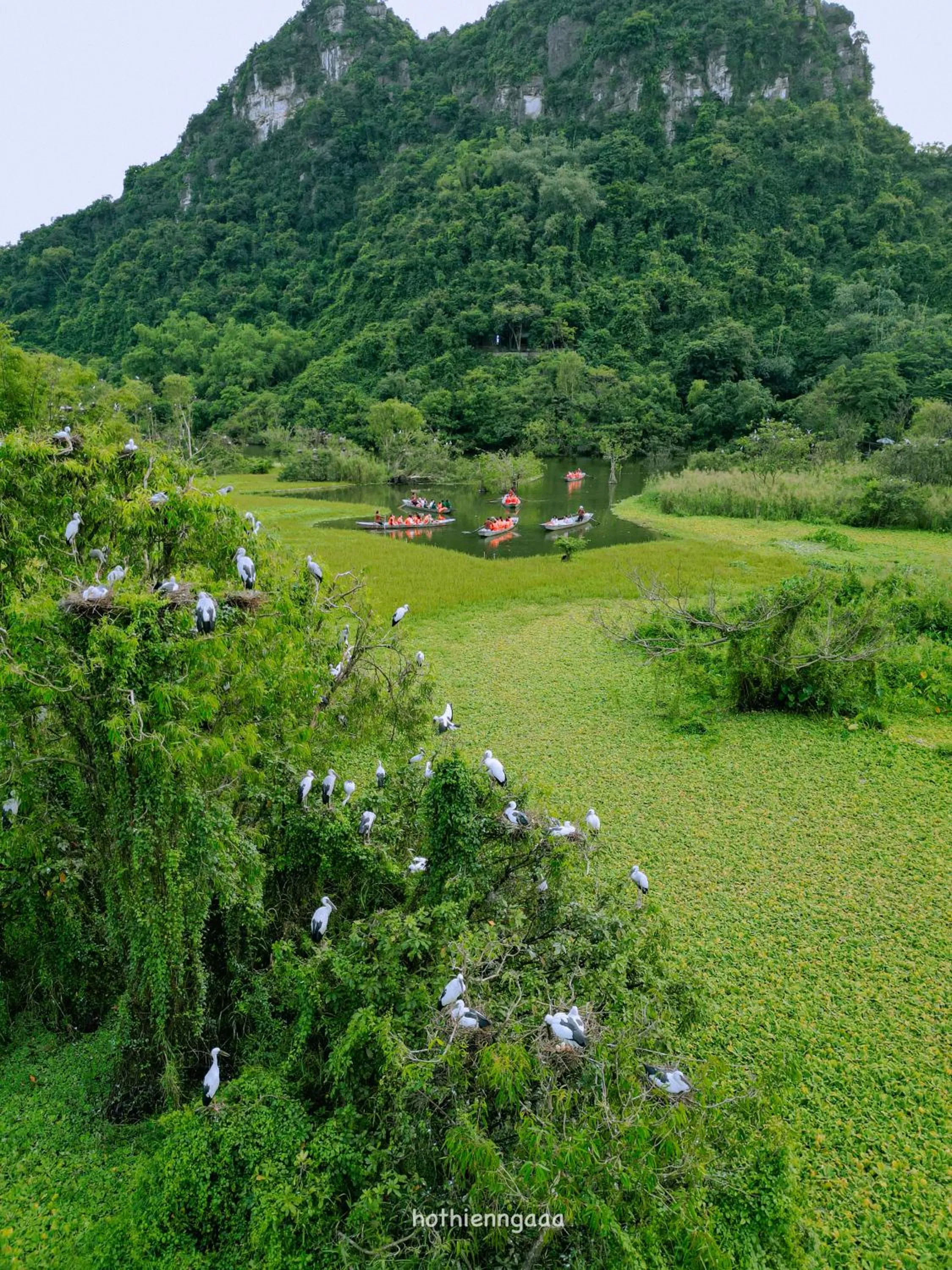 Natural landscape in Thung Nham Resort