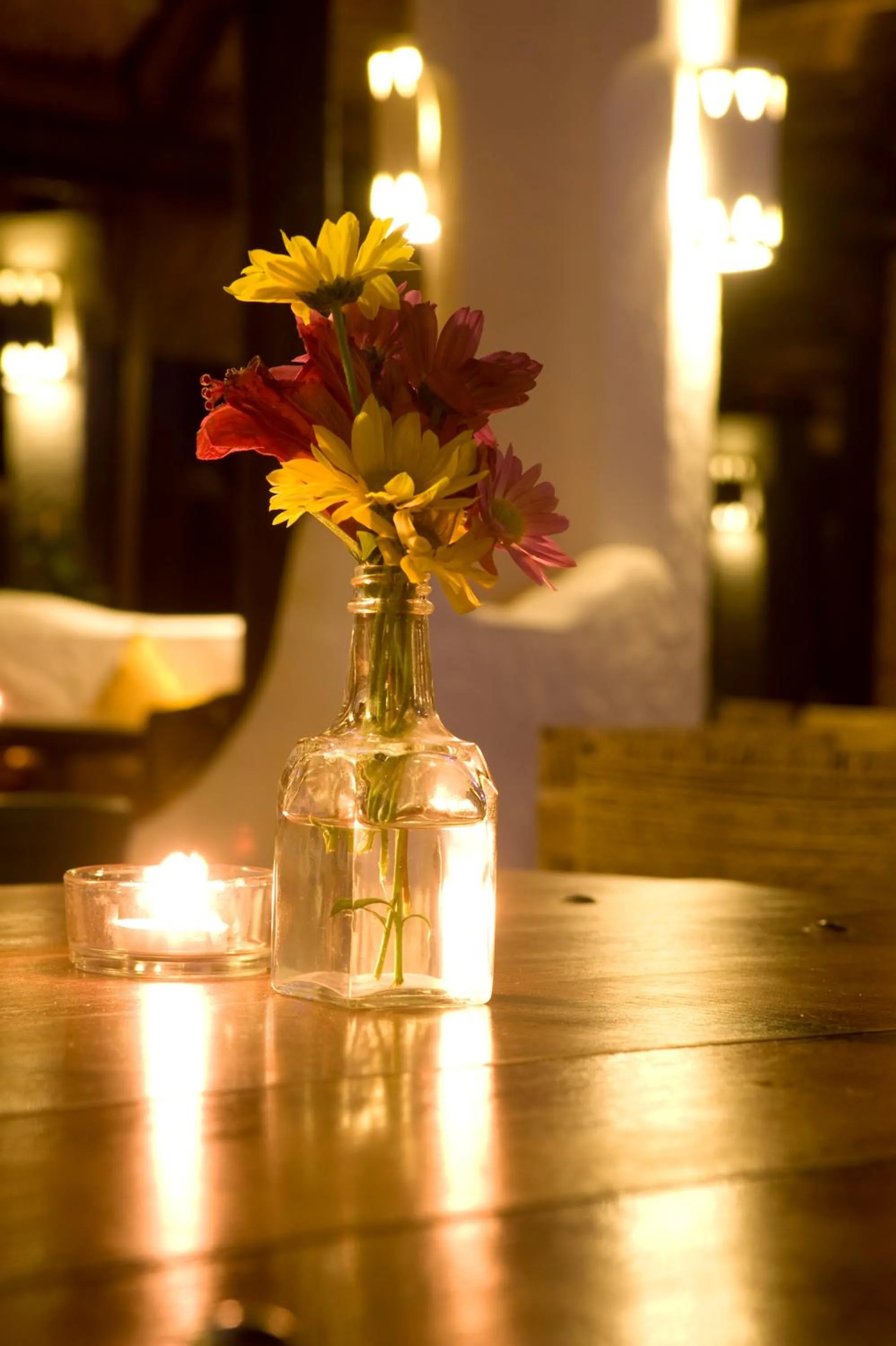 Lounge or bar in 100% Fun