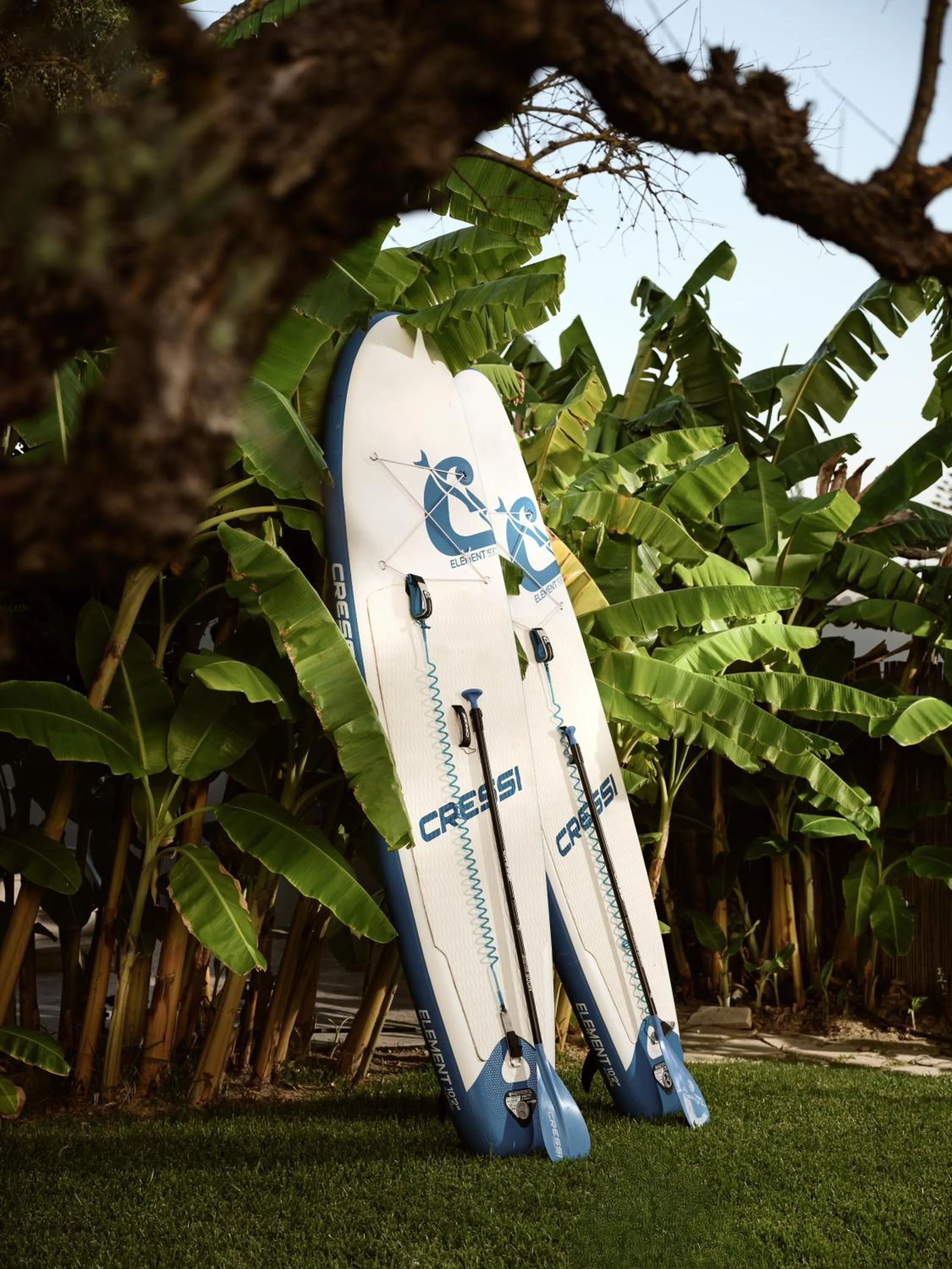 Day in Memories Apartments