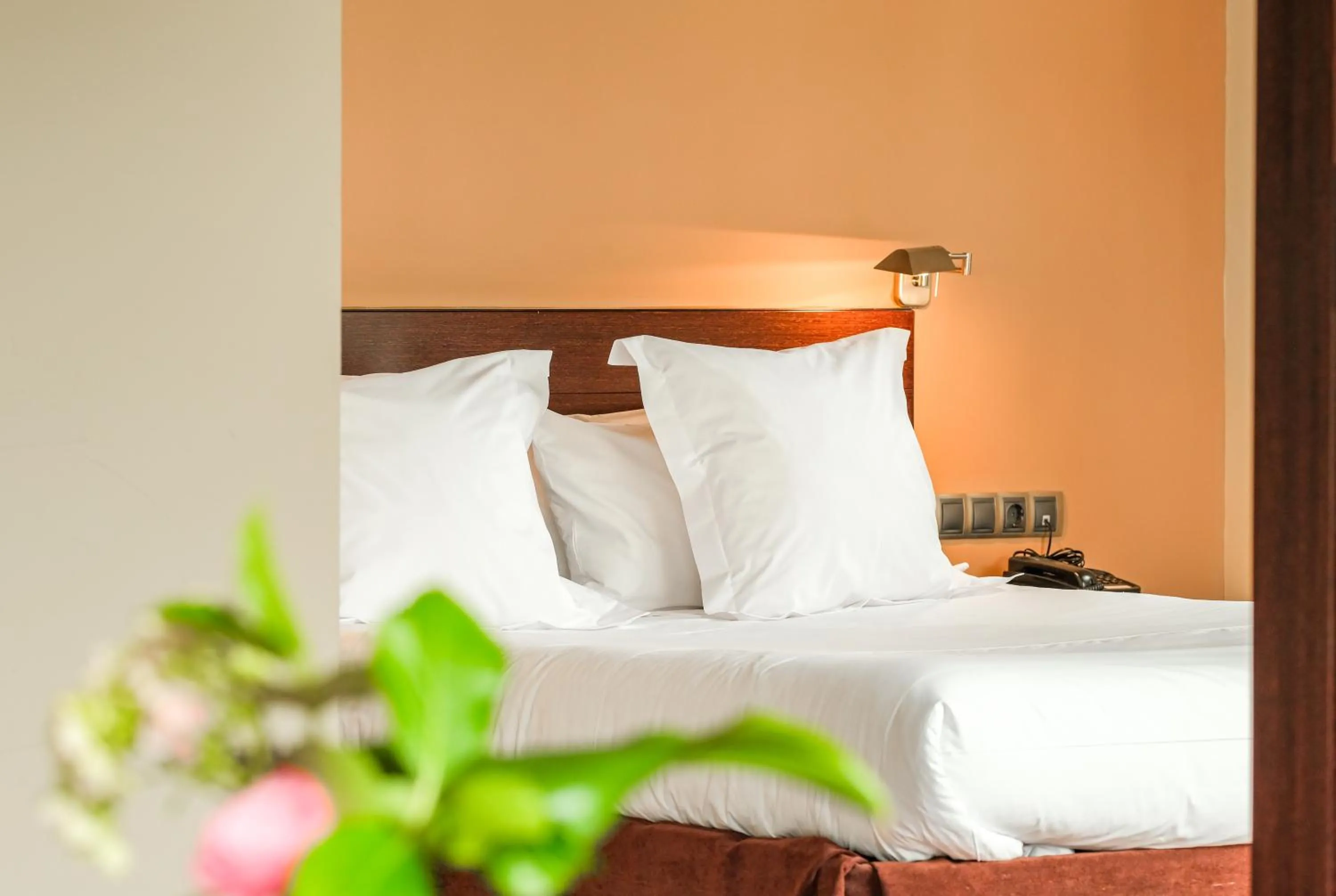 Bed in Indiana Boutique Hotel