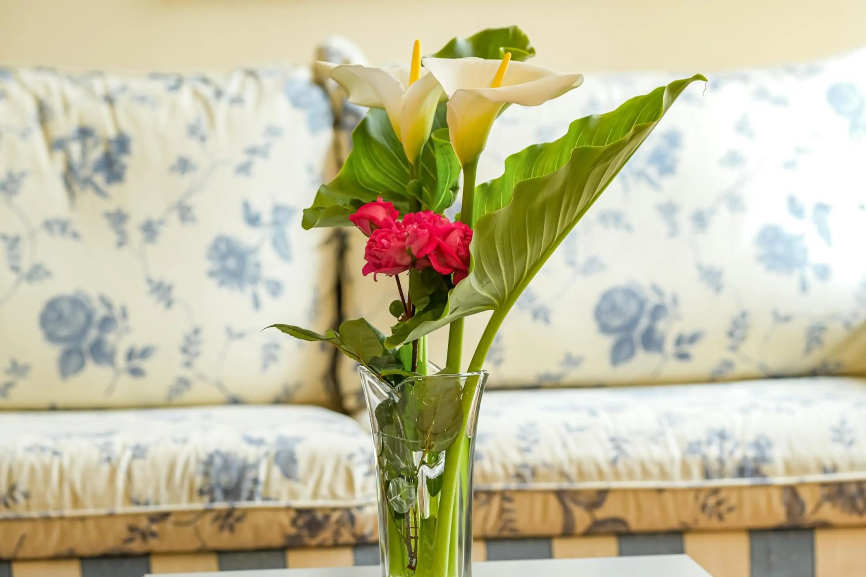 Photo of the whole room in Indiana Boutique Hotel