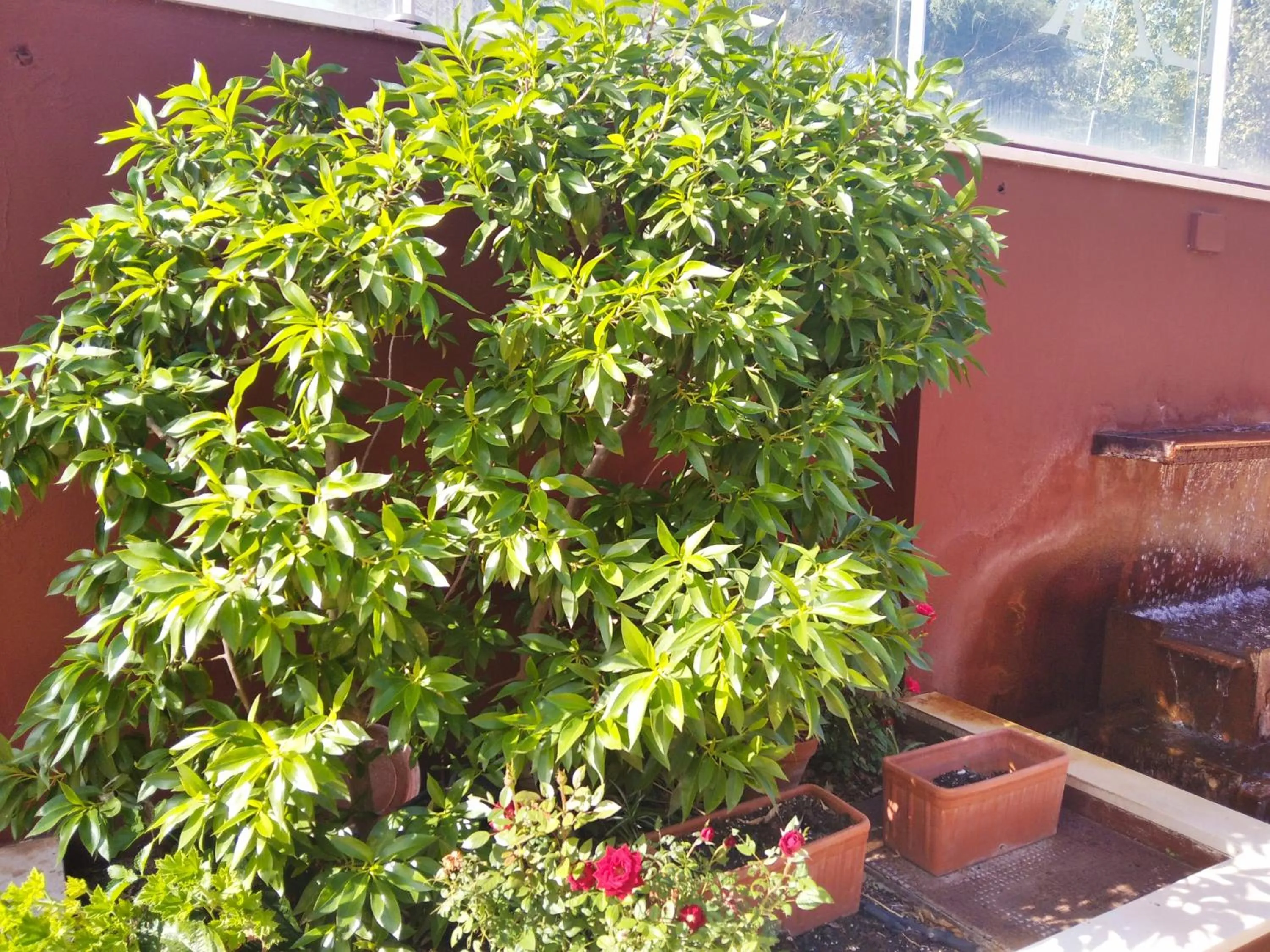 Area and facilities in Apartamentos Turísticos La Castilleja