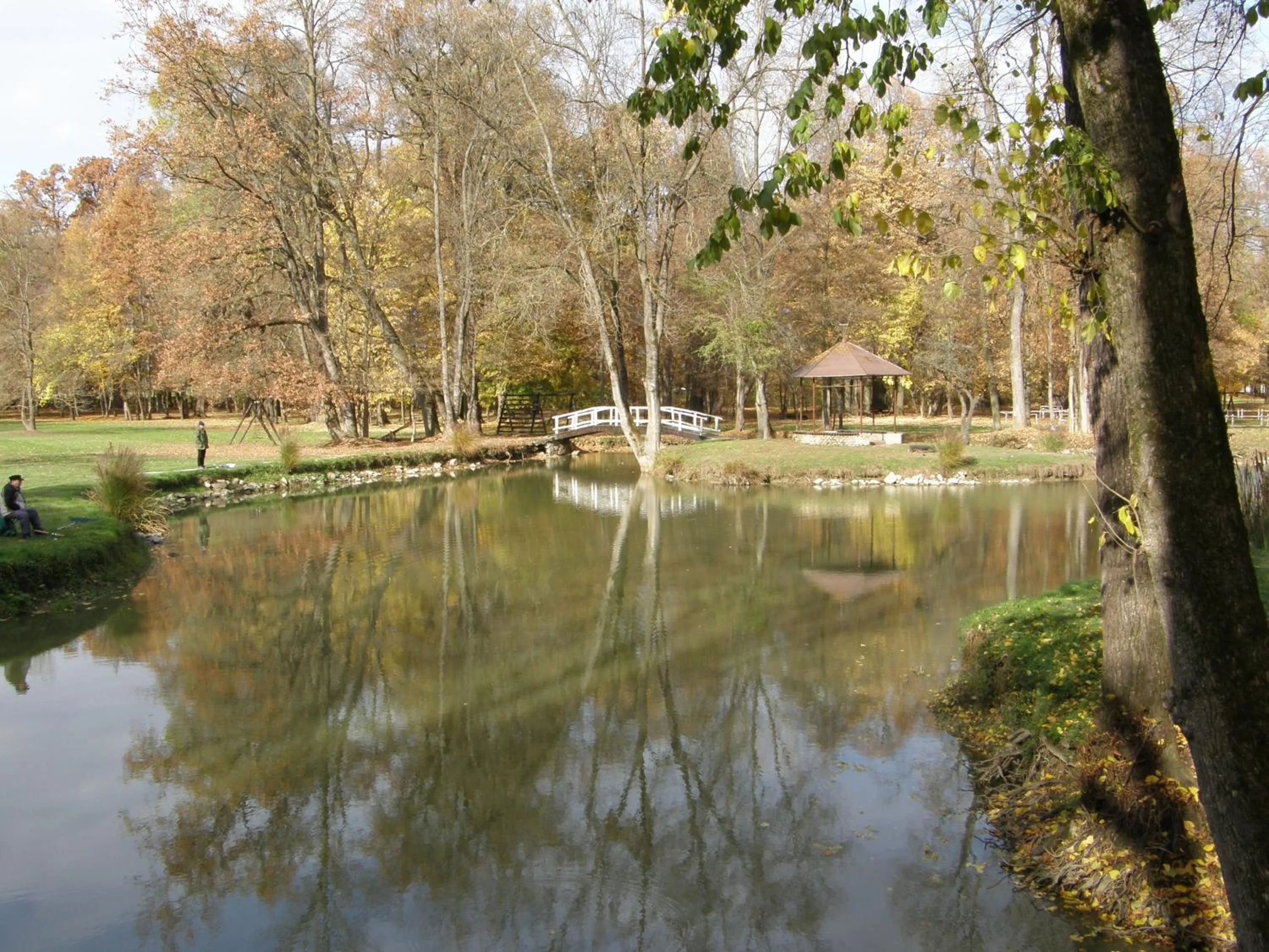 Autumn in Hotel Park