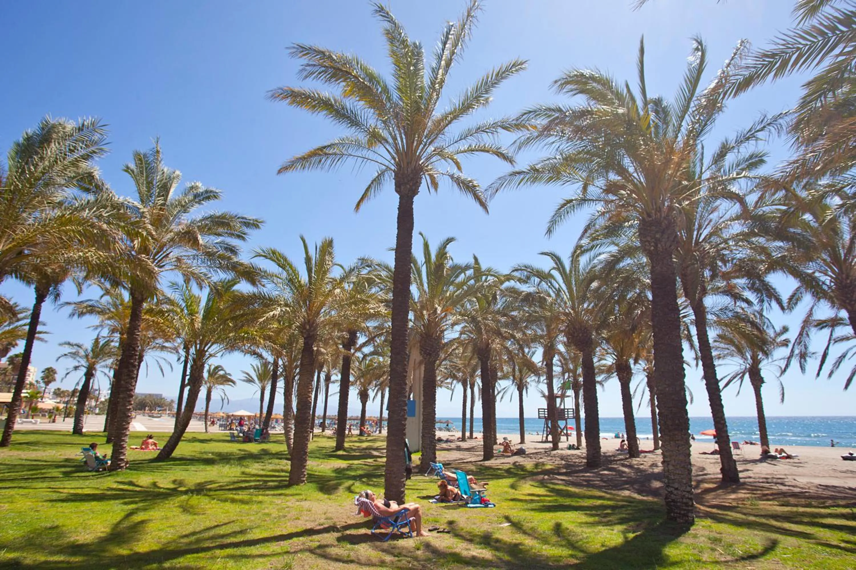 Other in Apartamentos Ecuador Park