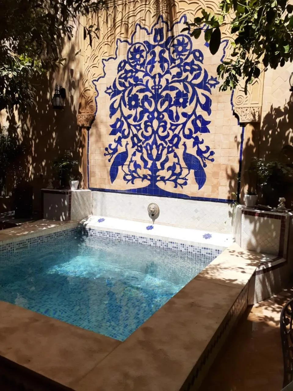 Swimming pool in Les Bains de Fez Tara