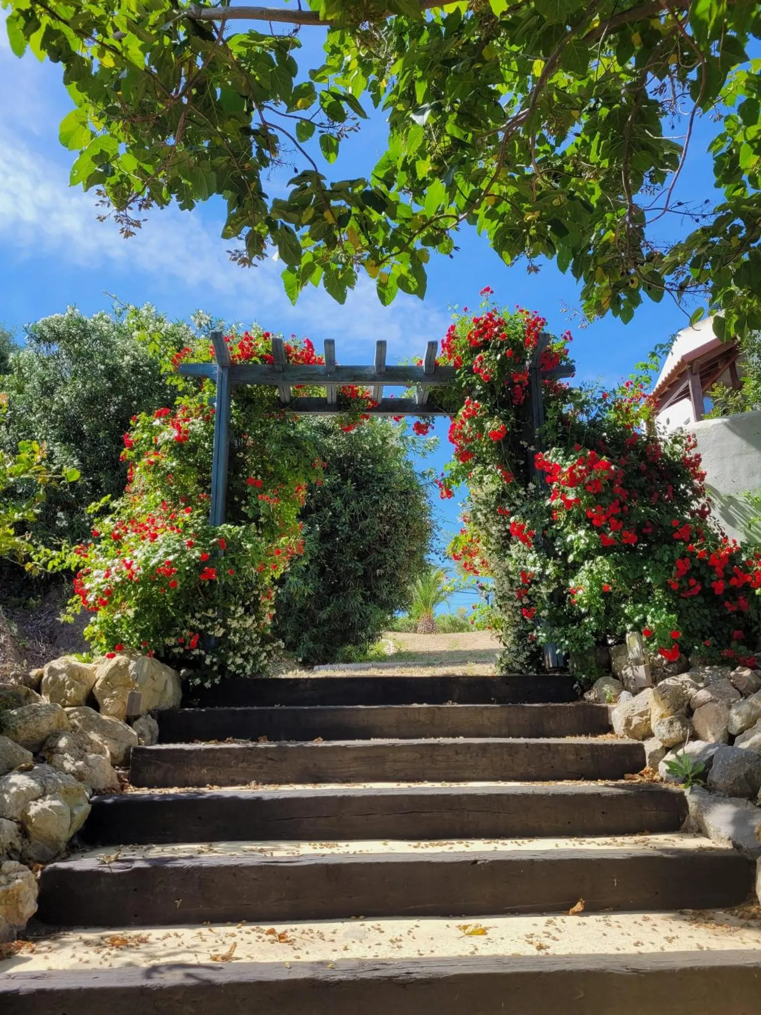 Garden in Hotel Sindhura