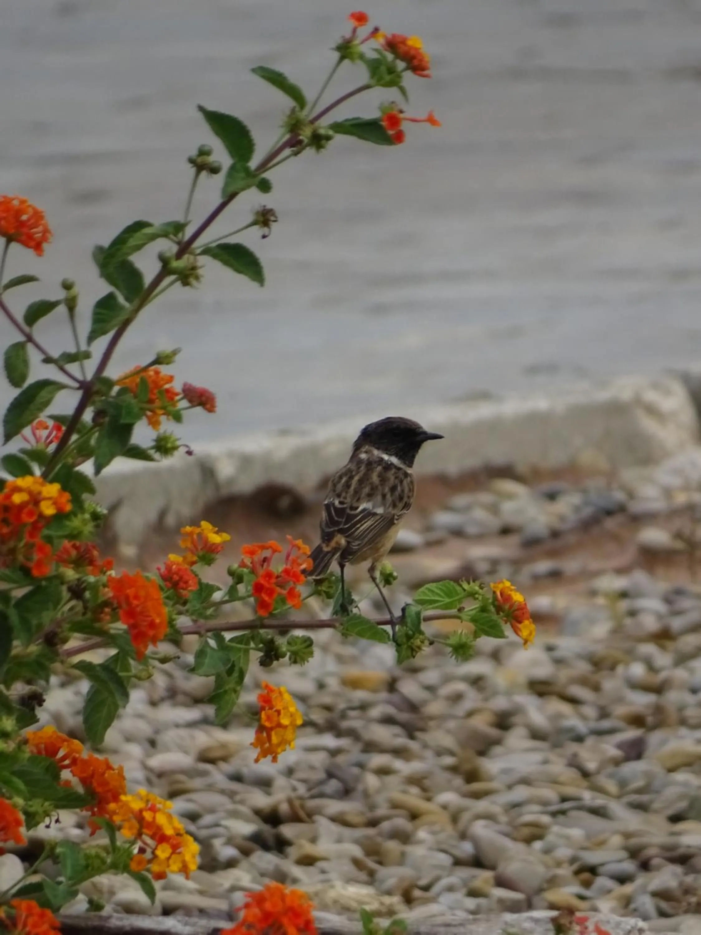 Off site in Hotel Sindhura