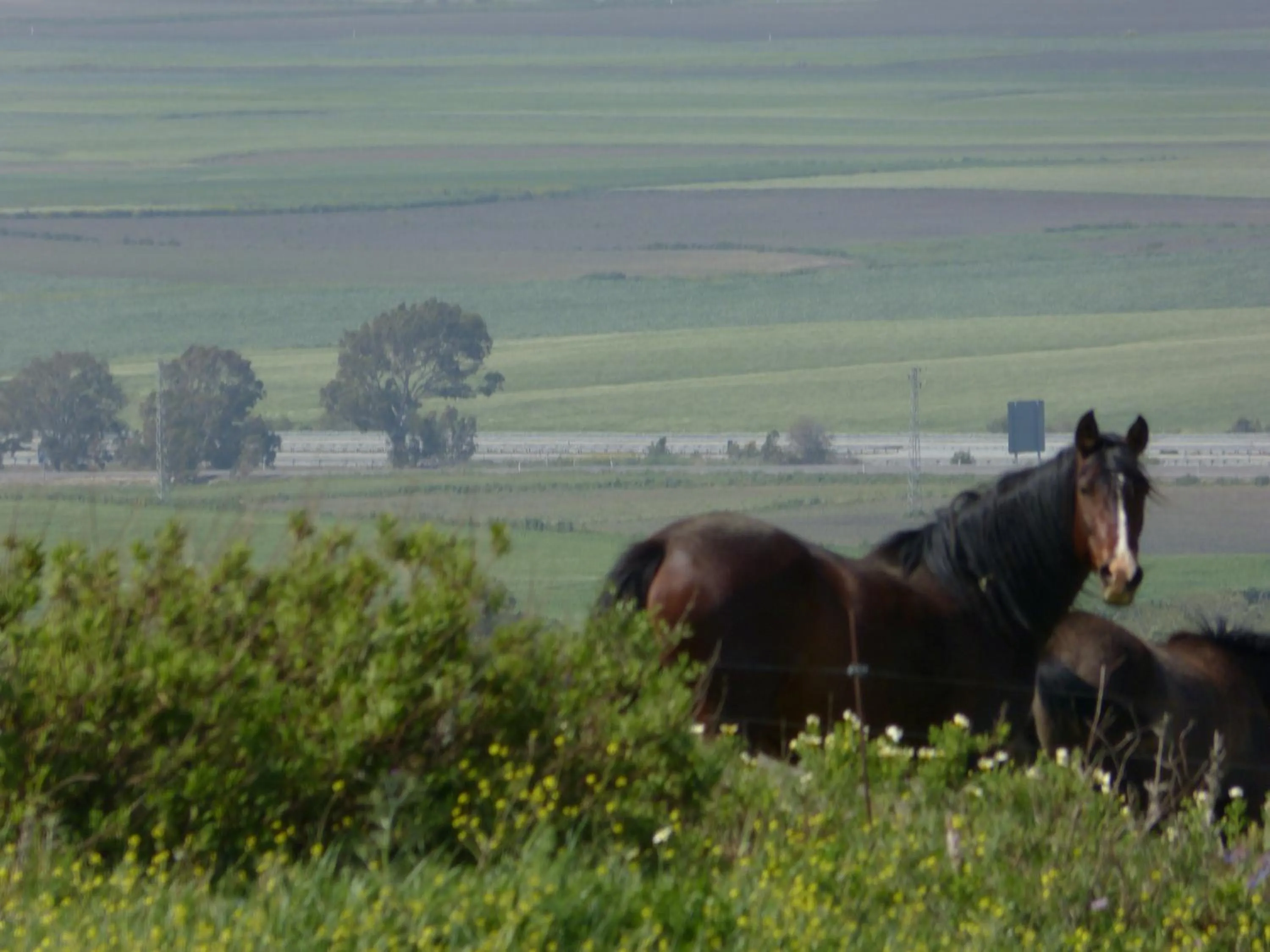 Landmark view in Hotel Sindhura