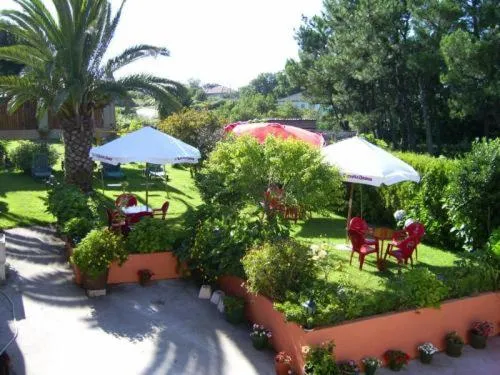 Garden in Hotel Vimar