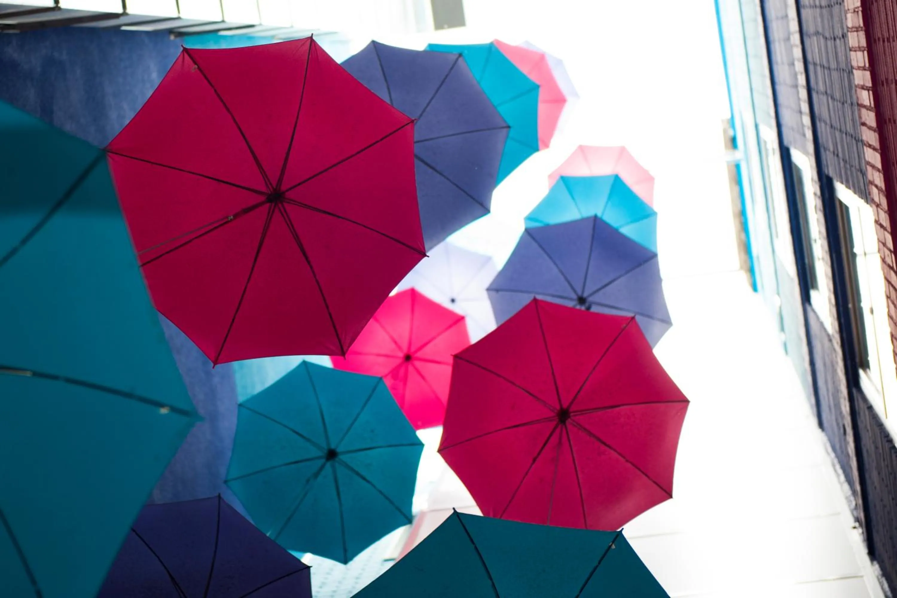 View (from property/room) in Apartosuites Jardines de Sabatini