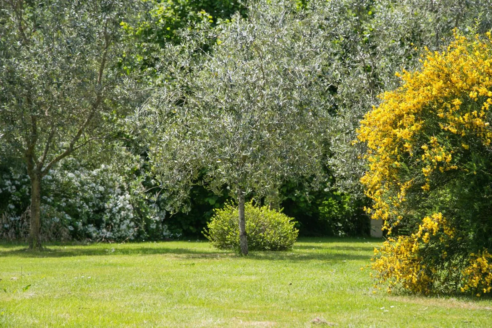 Garden in Les Dames de Nage