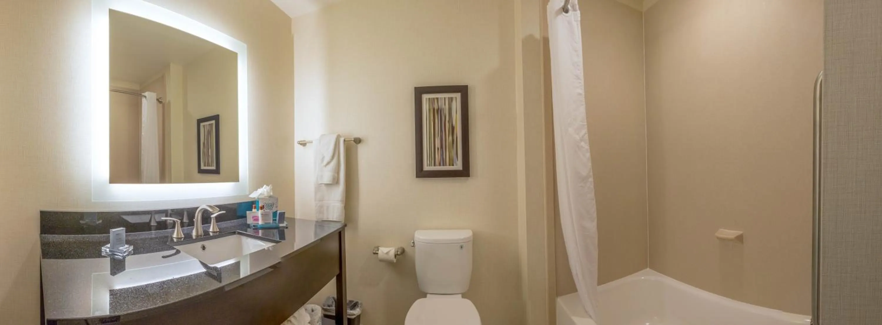 Bathroom in Wingate by Wyndham Loveland Johnstown