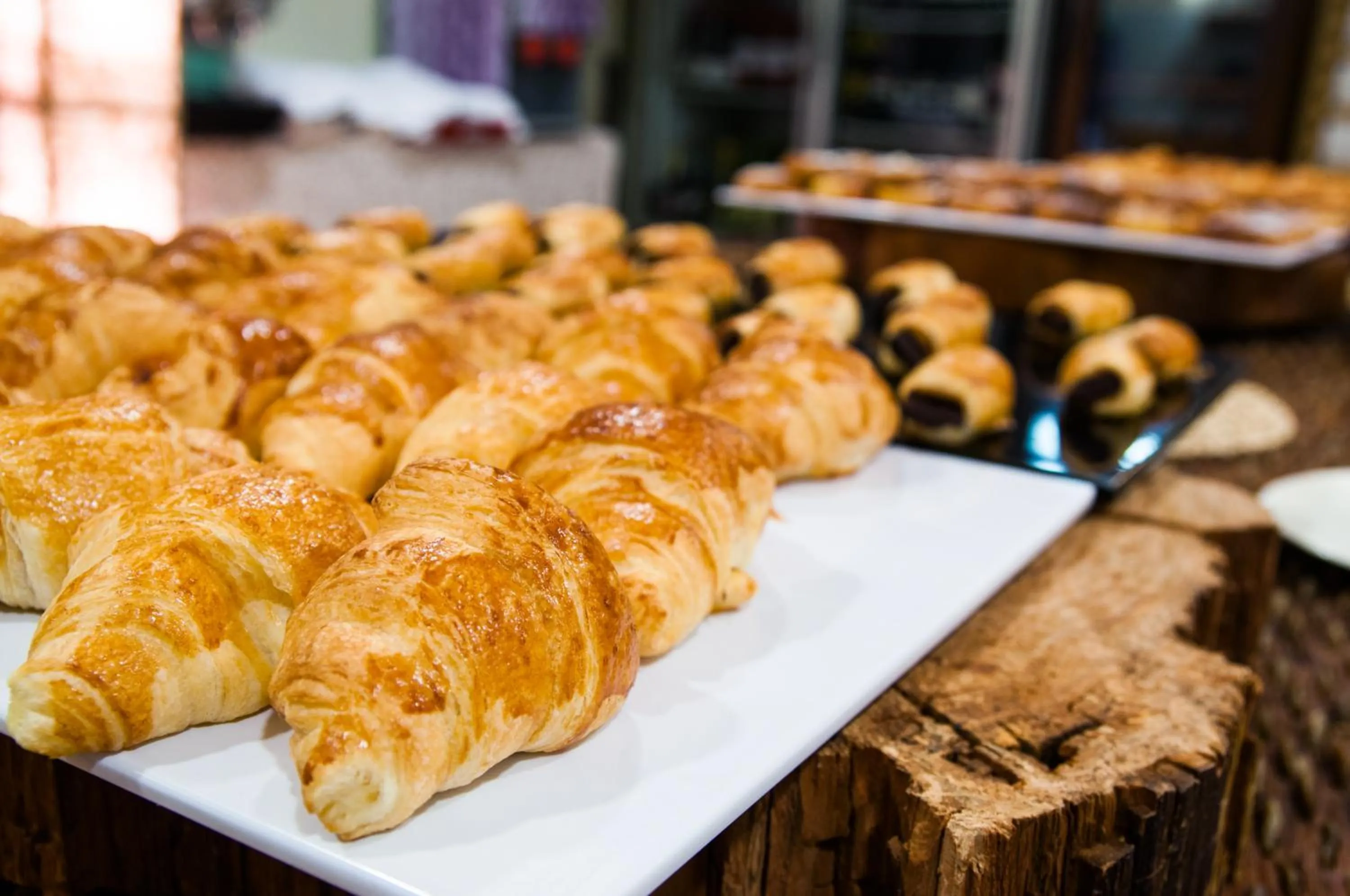 Hotel Balneario Areatza Nº 01224