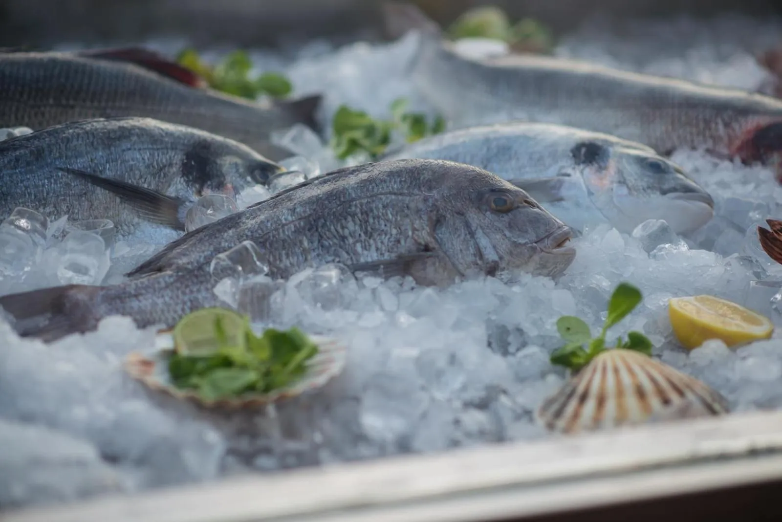 Meals in Boutique Hotel La Roche