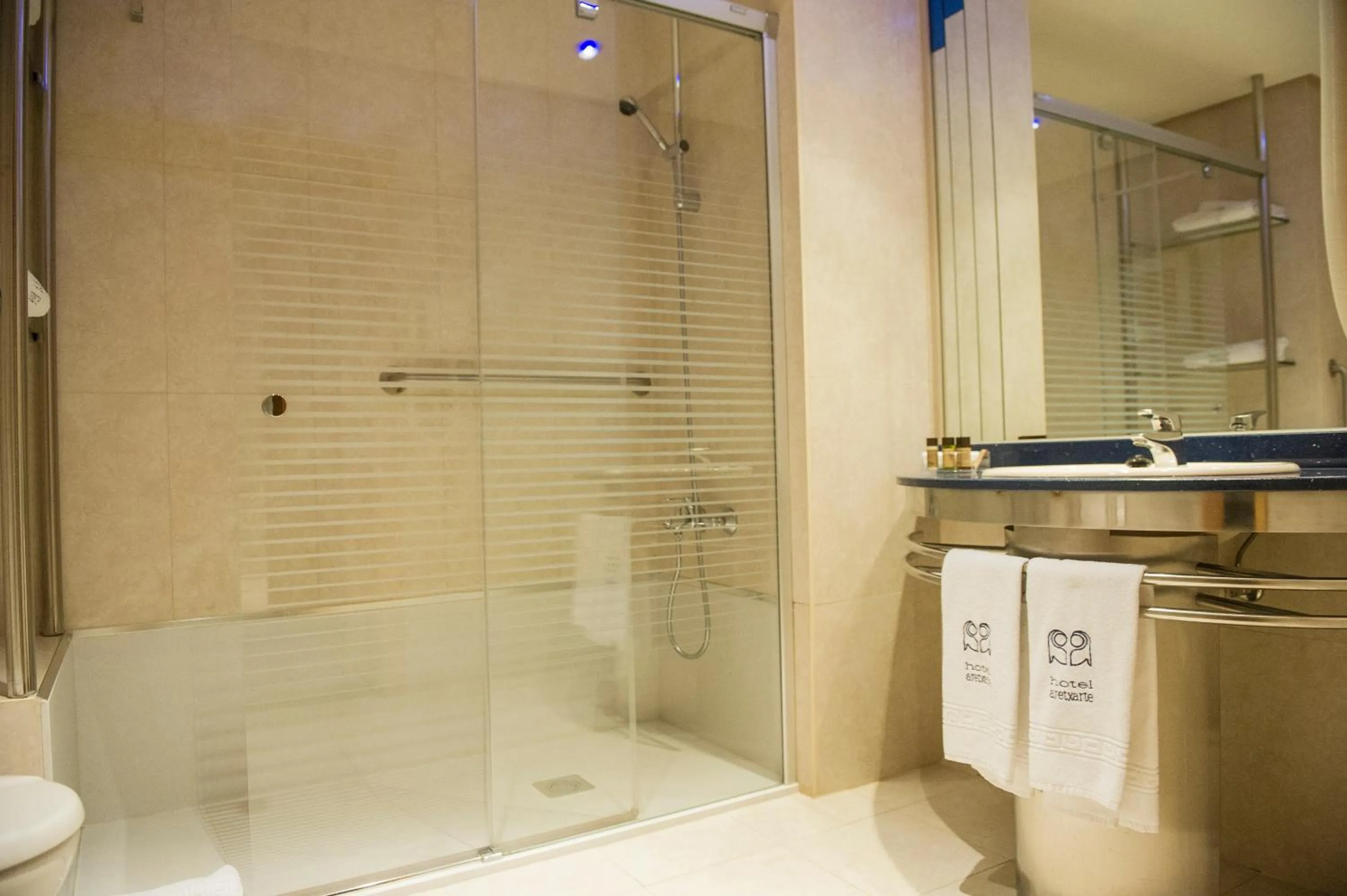 Bathroom in Hotel Aretxarte