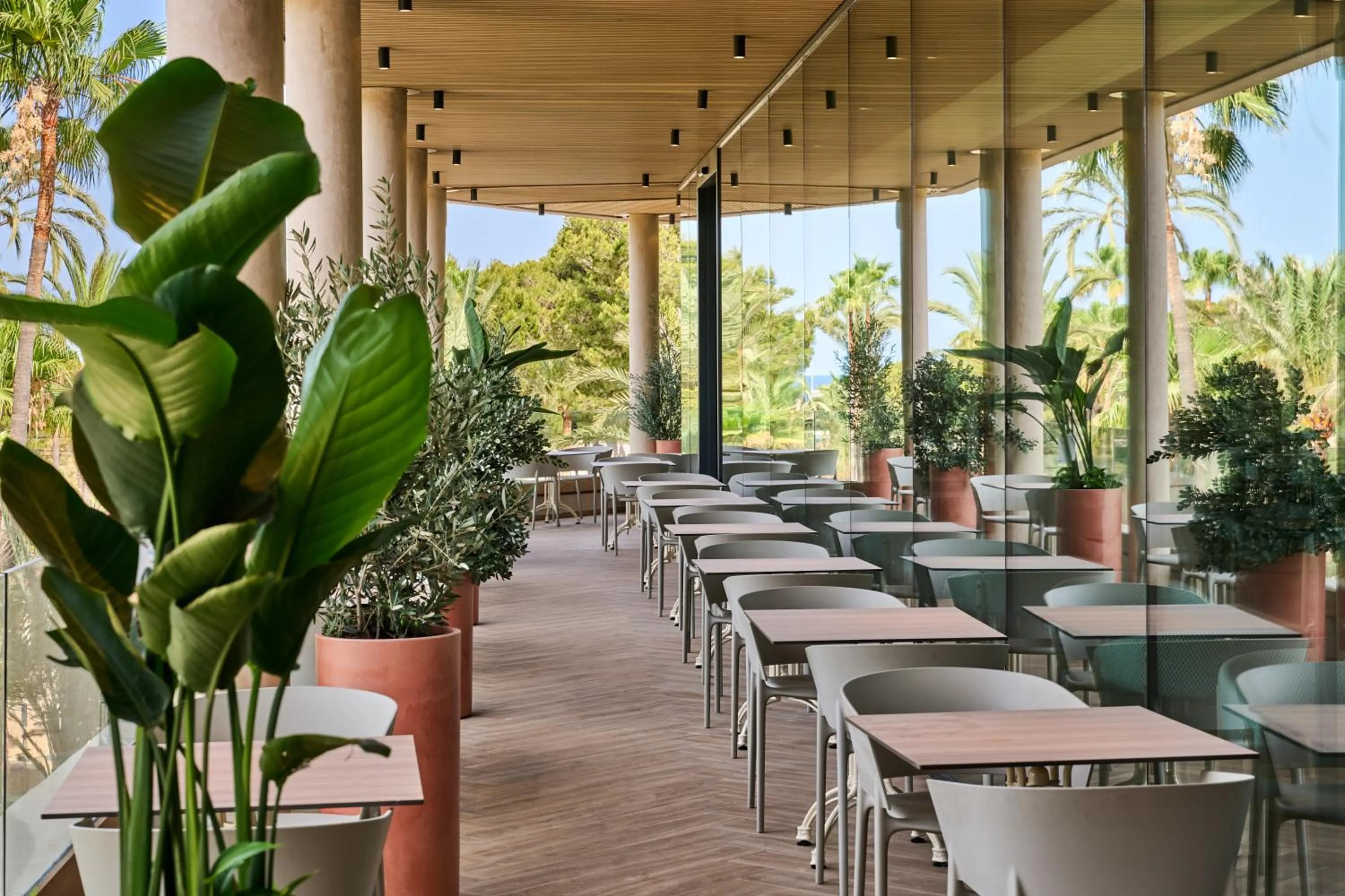 Restaurant/places to eat in Grupotel Cala Marsal Nature Hotel