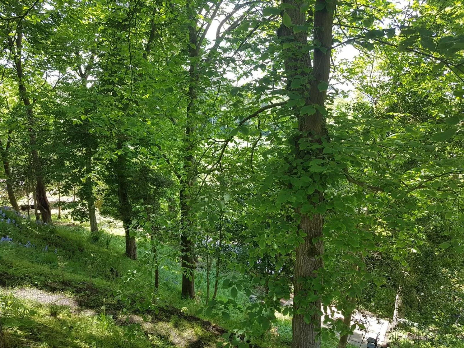 Natural landscape in Bonkle House