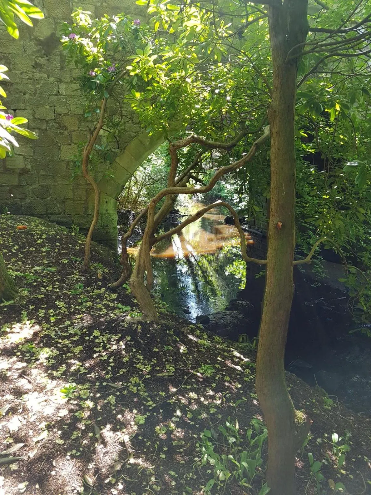 Natural landscape in Bonkle House