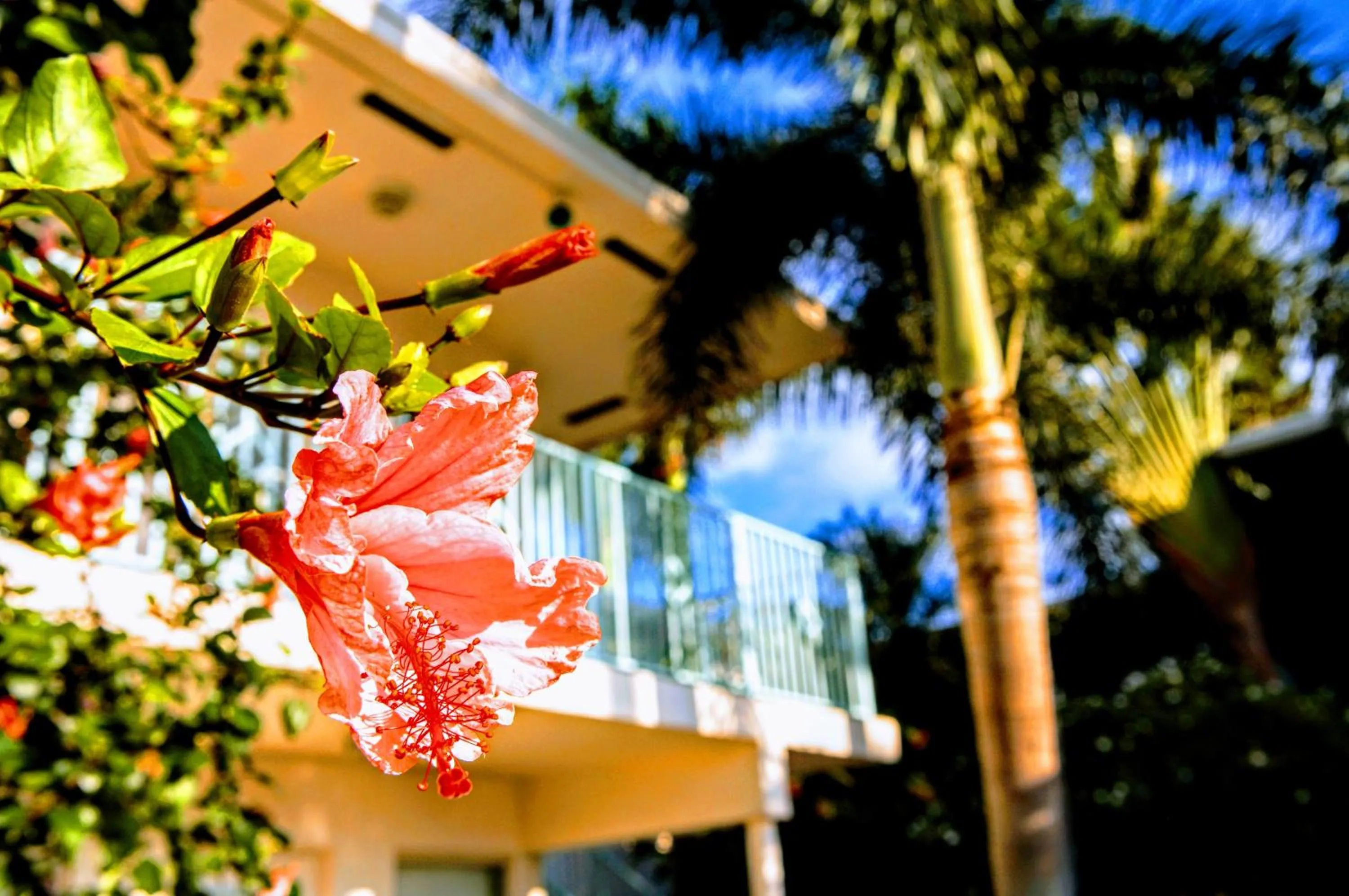 Property building in Villa Venezia