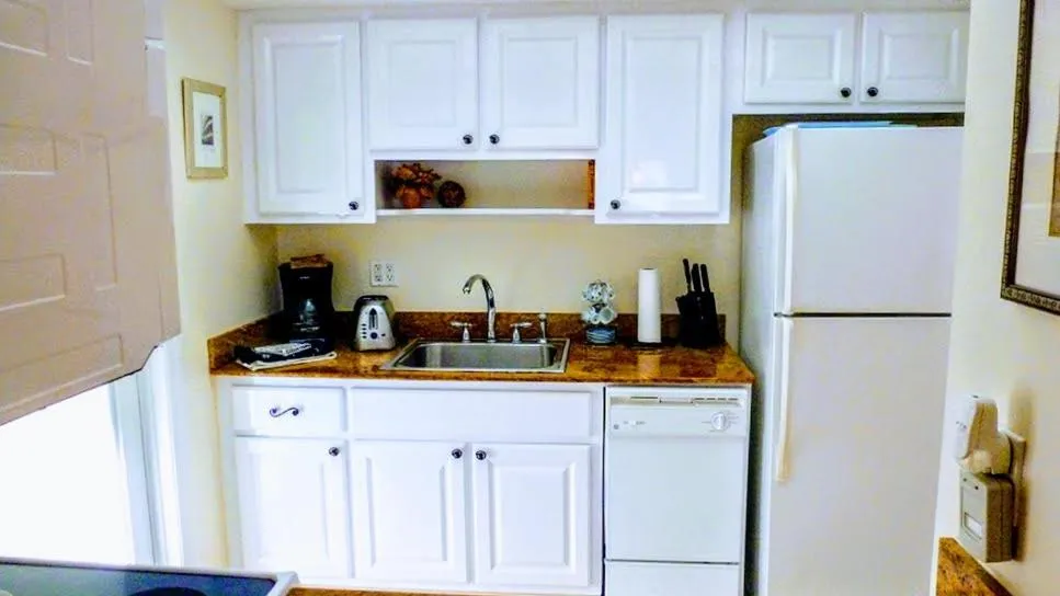 Kitchen or kitchenette in Villa Venezia