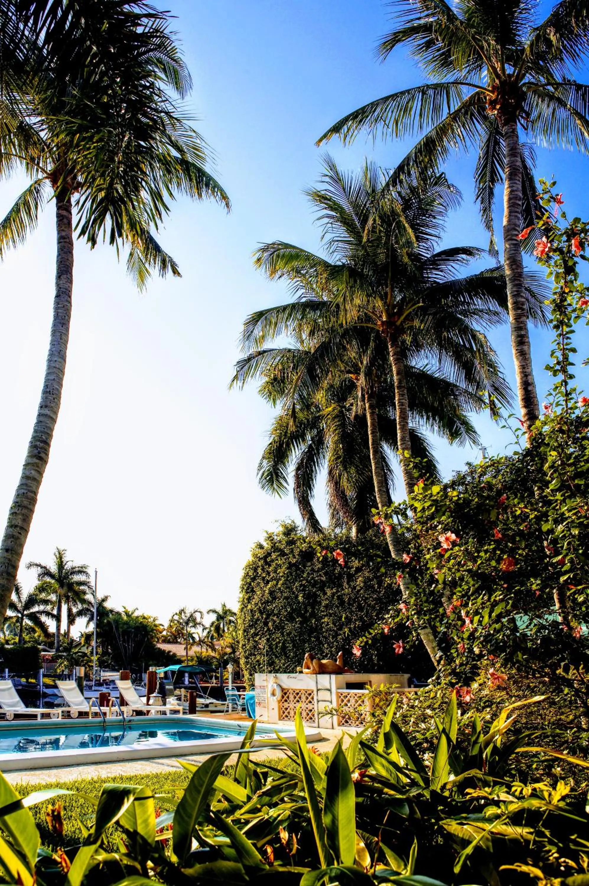 Property building in Villa Venezia