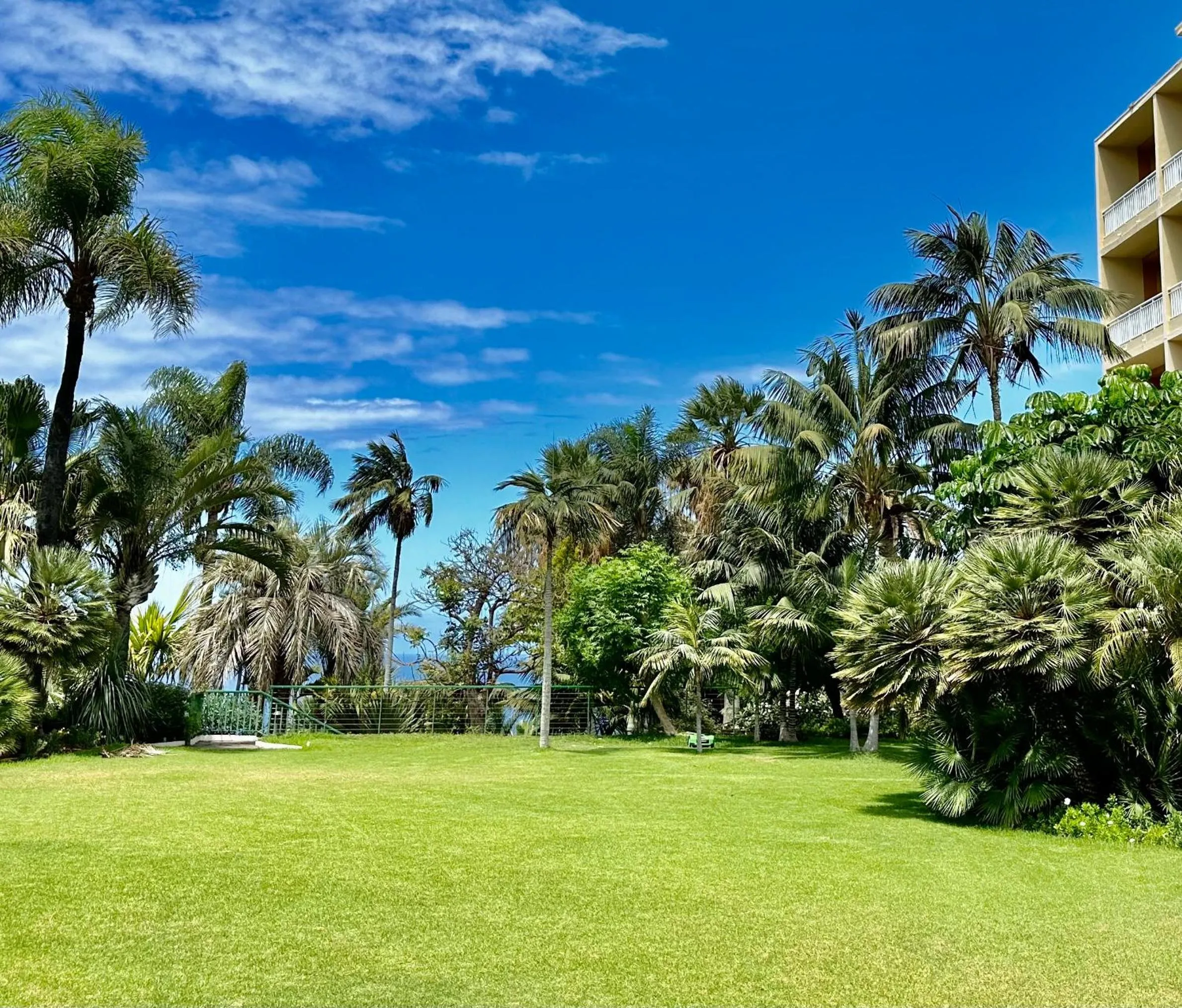 Garden in Hotel Tigaiga
