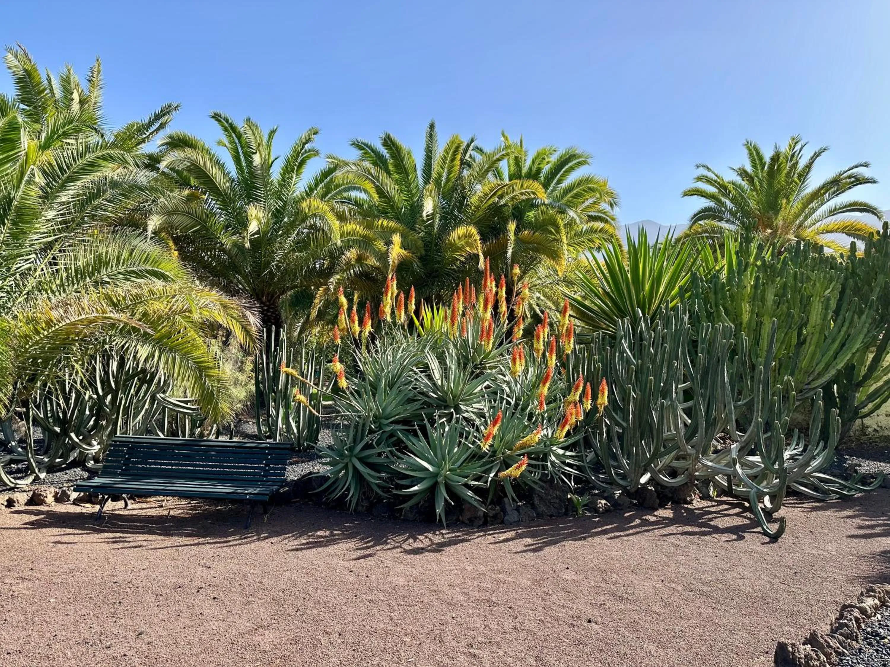 Garden view in Hotel Tigaiga