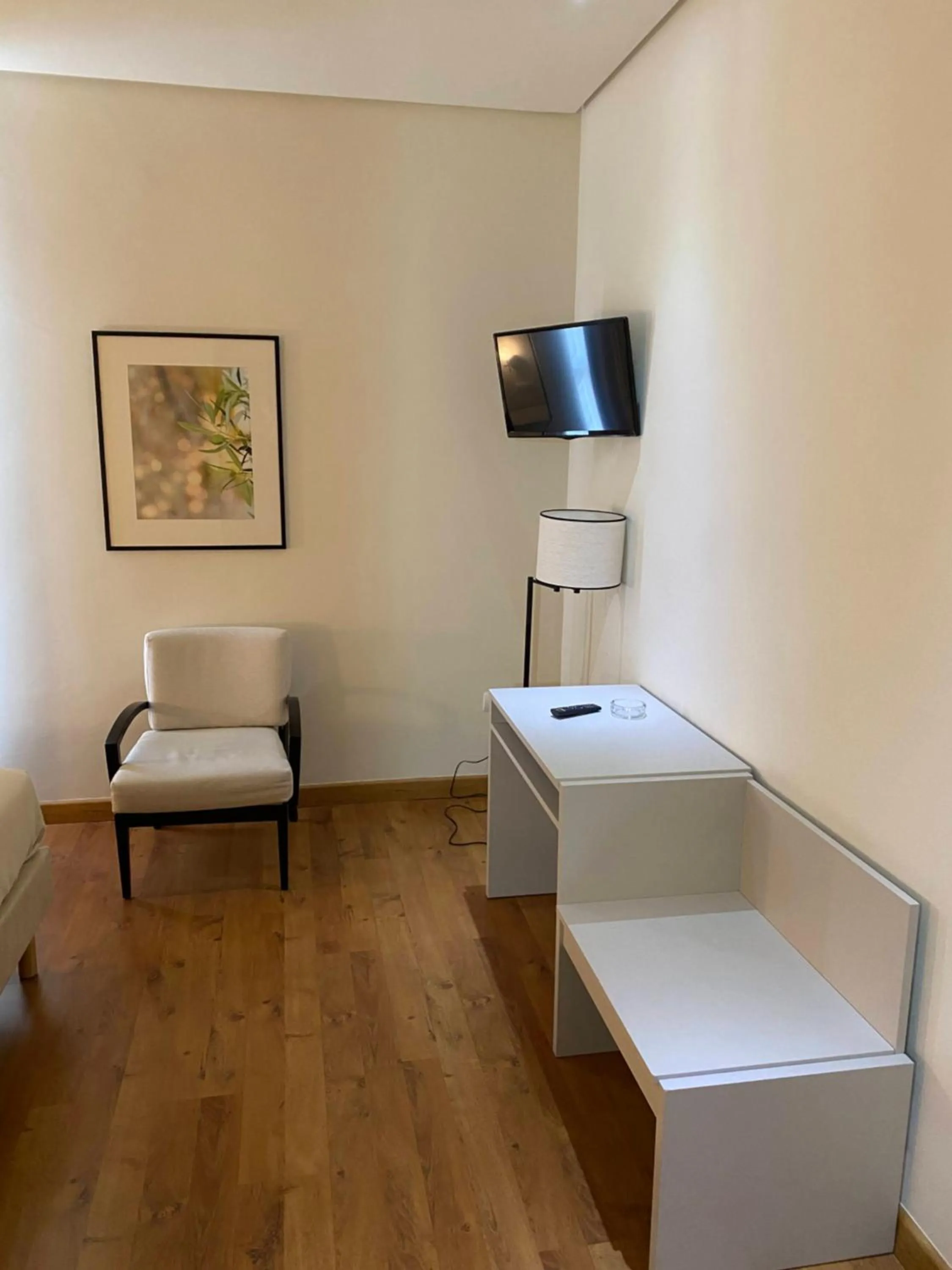 TV and multimedia in Hotel Santa Ana