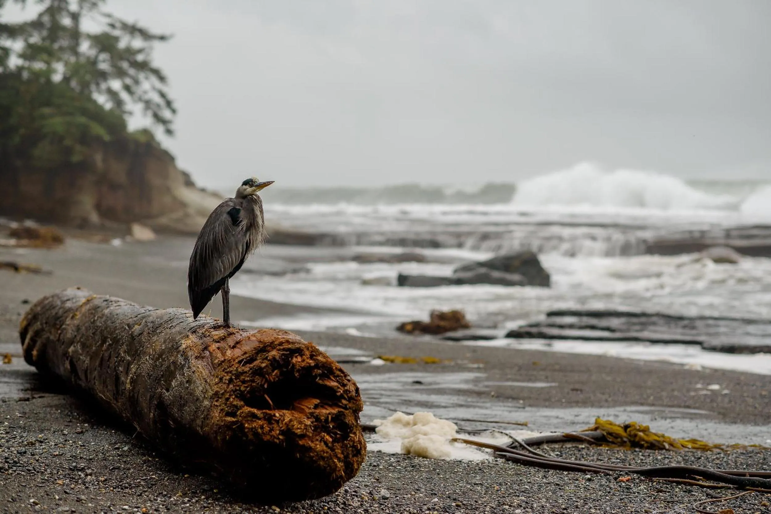 Beach in Fish Tales Cottage