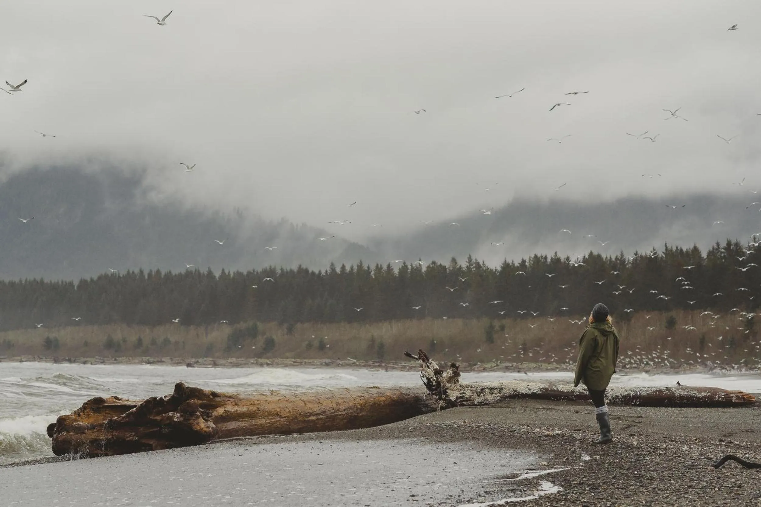 Beach in Fish Tales Cottage