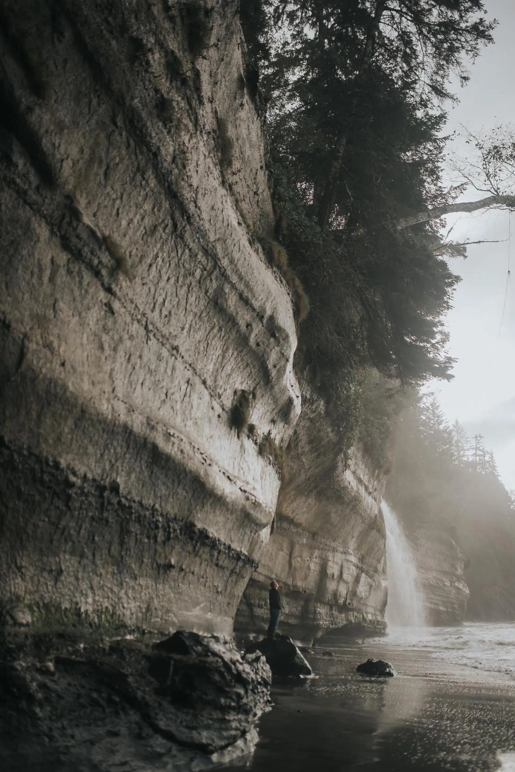 Natural landscape in Fish Tales Cottage