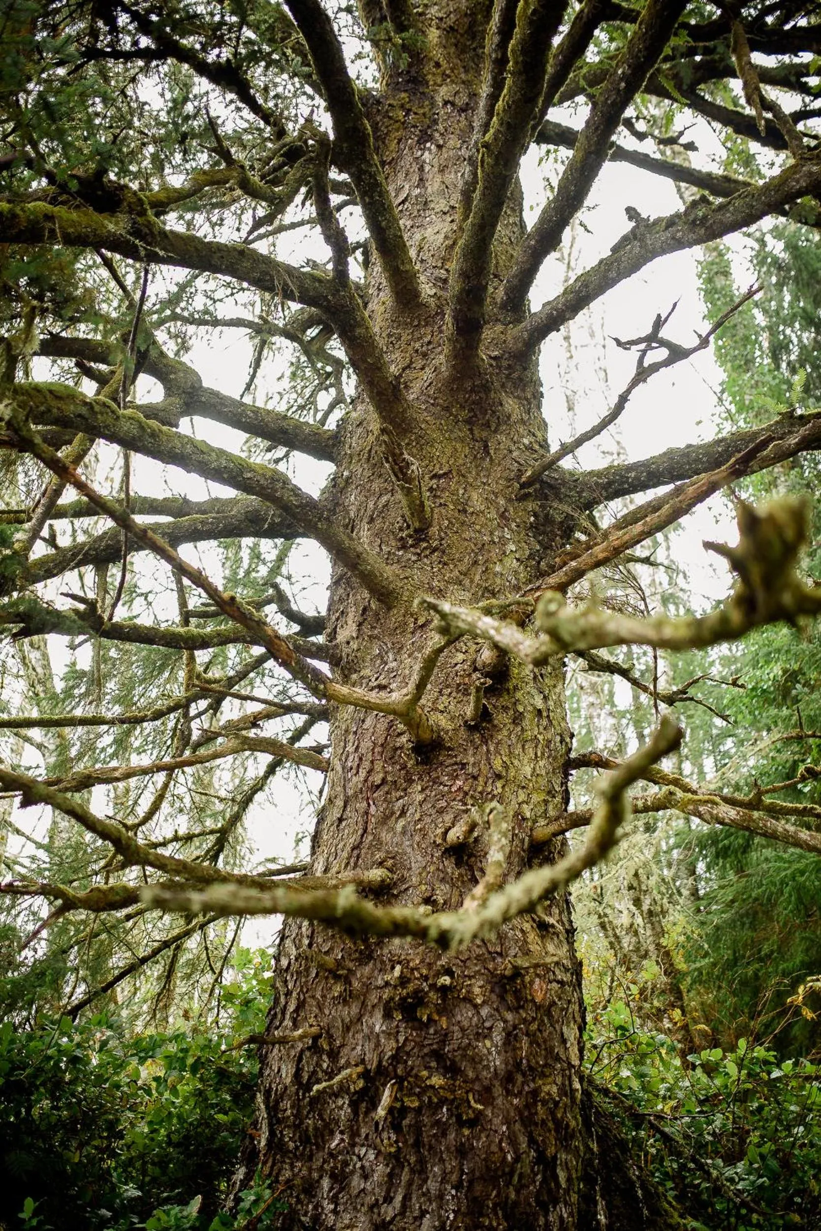 Natural landscape in Fish Tales Cottage