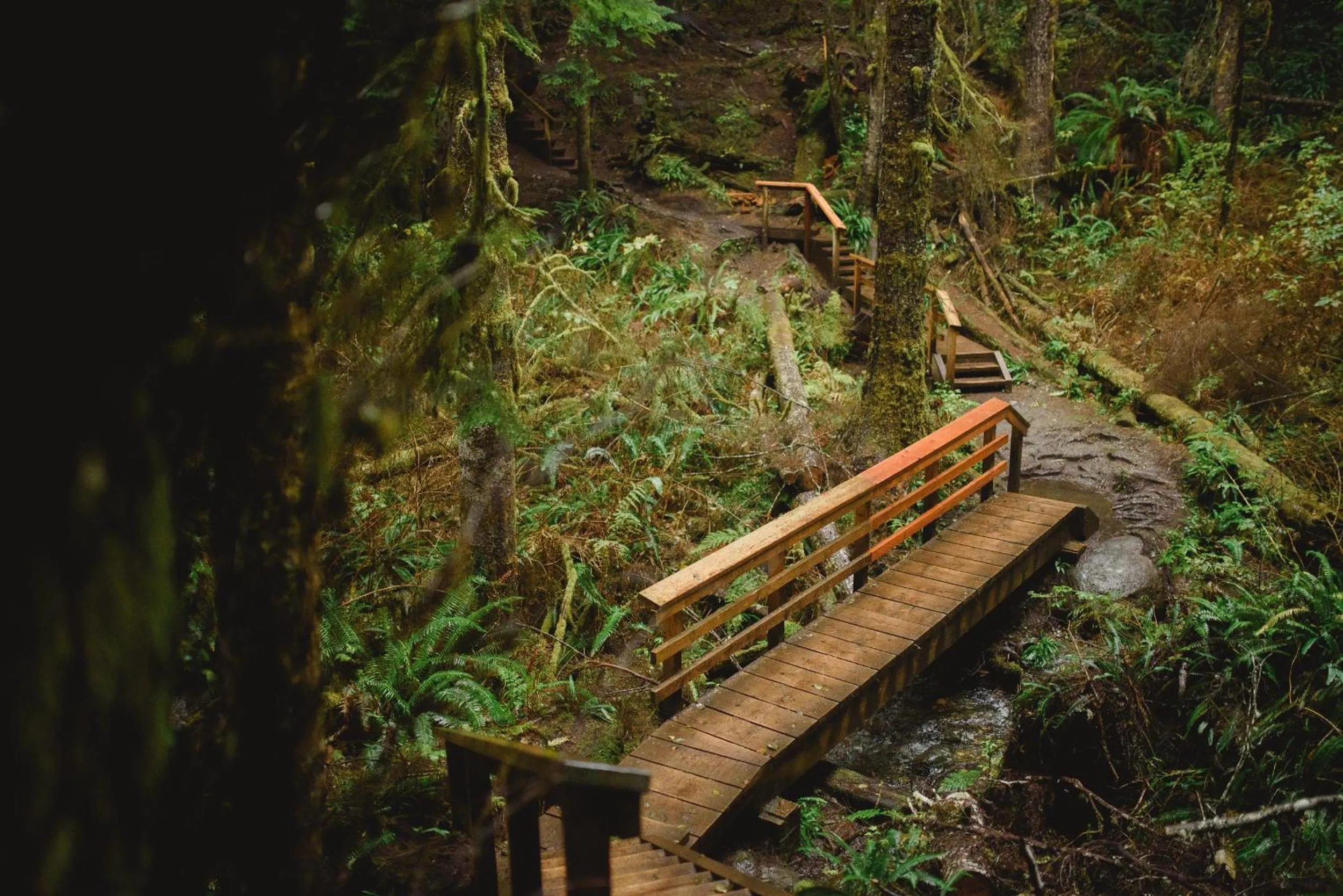 Natural landscape in Fish Tales Cottage