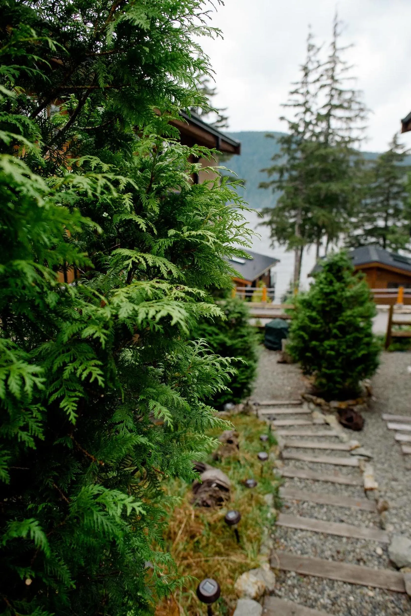 Neighbourhood in Fish Tales Cottage