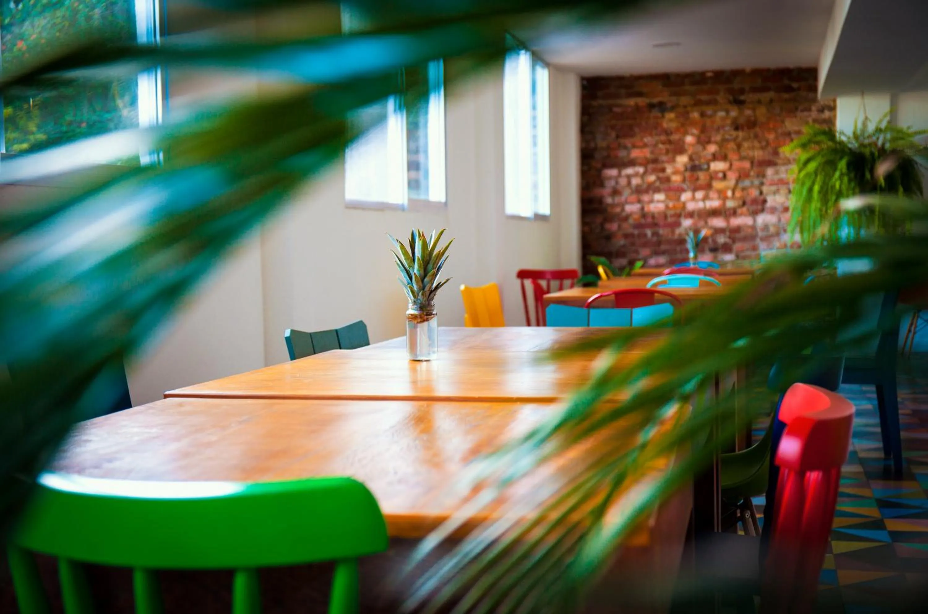 Restaurant/places to eat in Aquarela do Leme