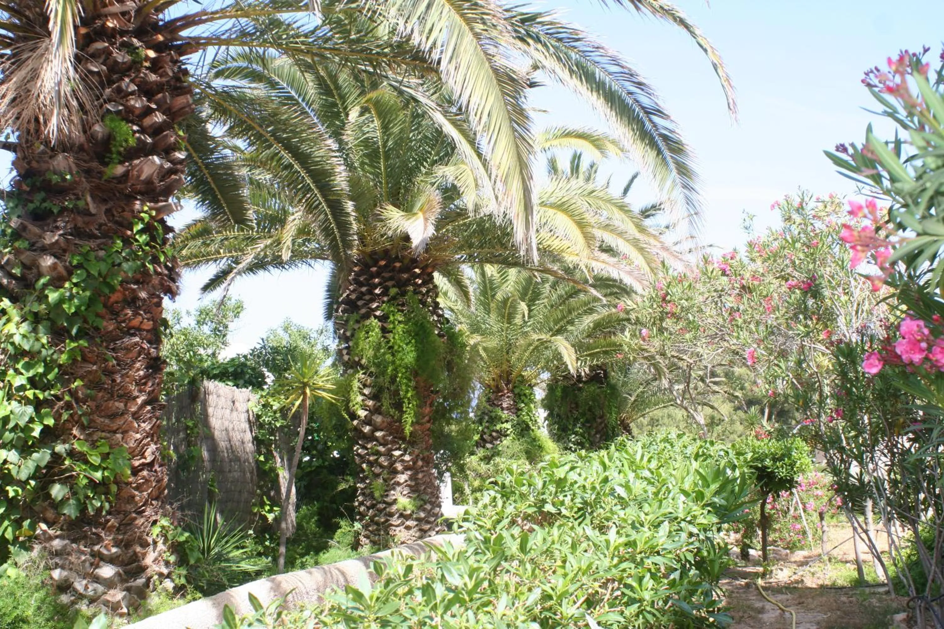 Day in Apartamentos del Rey